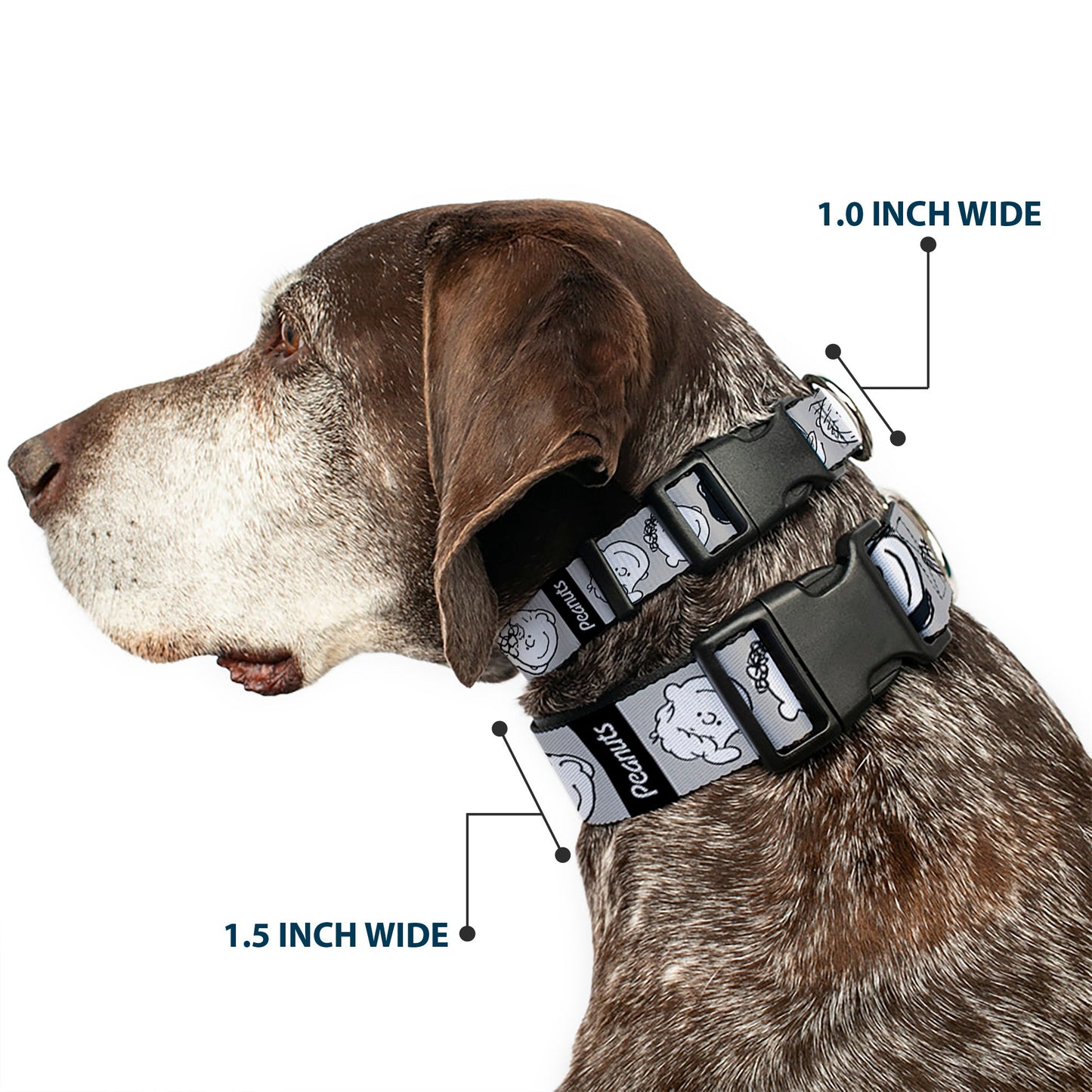 Peanuts Gang Expressions Dog Collar - Gray/Black/White