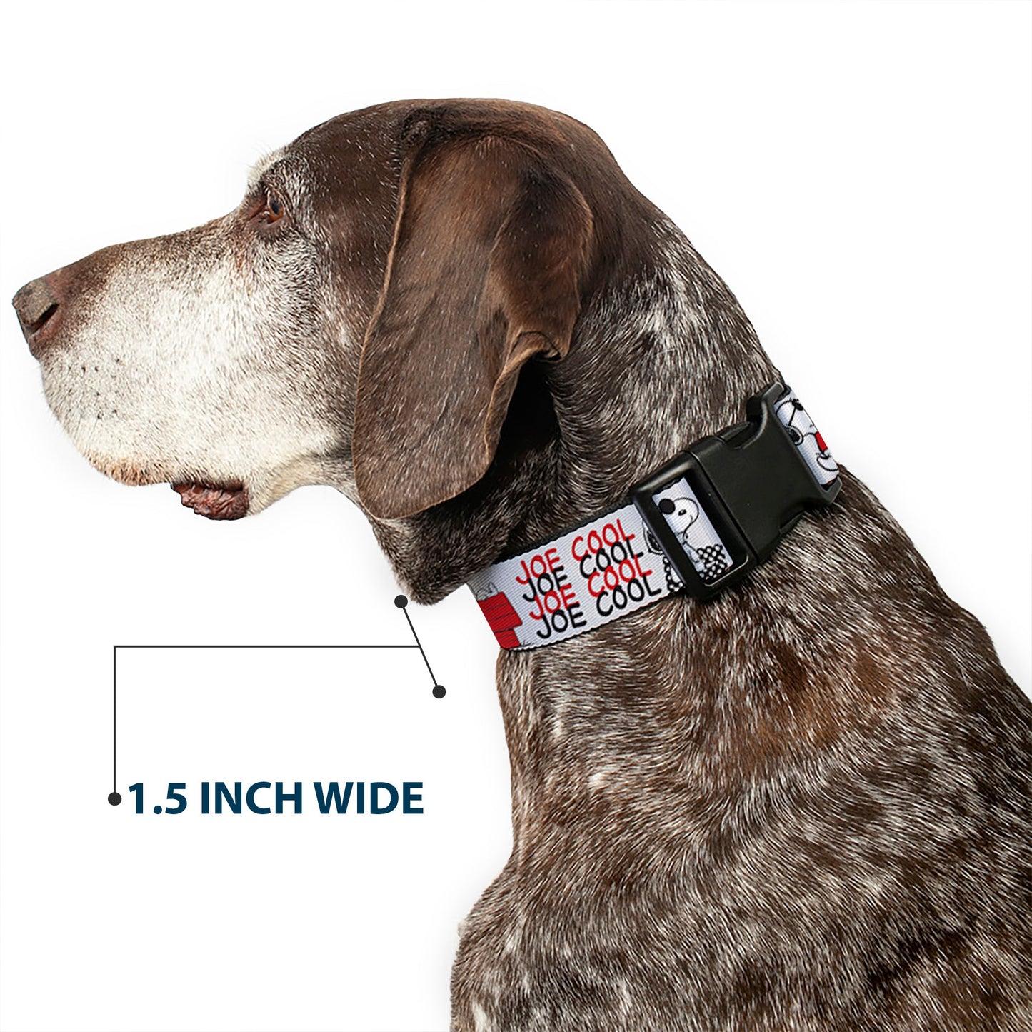 Plastic Clip Collar - Peanuts JOE COOL Snoopy Poses and Text Gray/Black/Red/White
