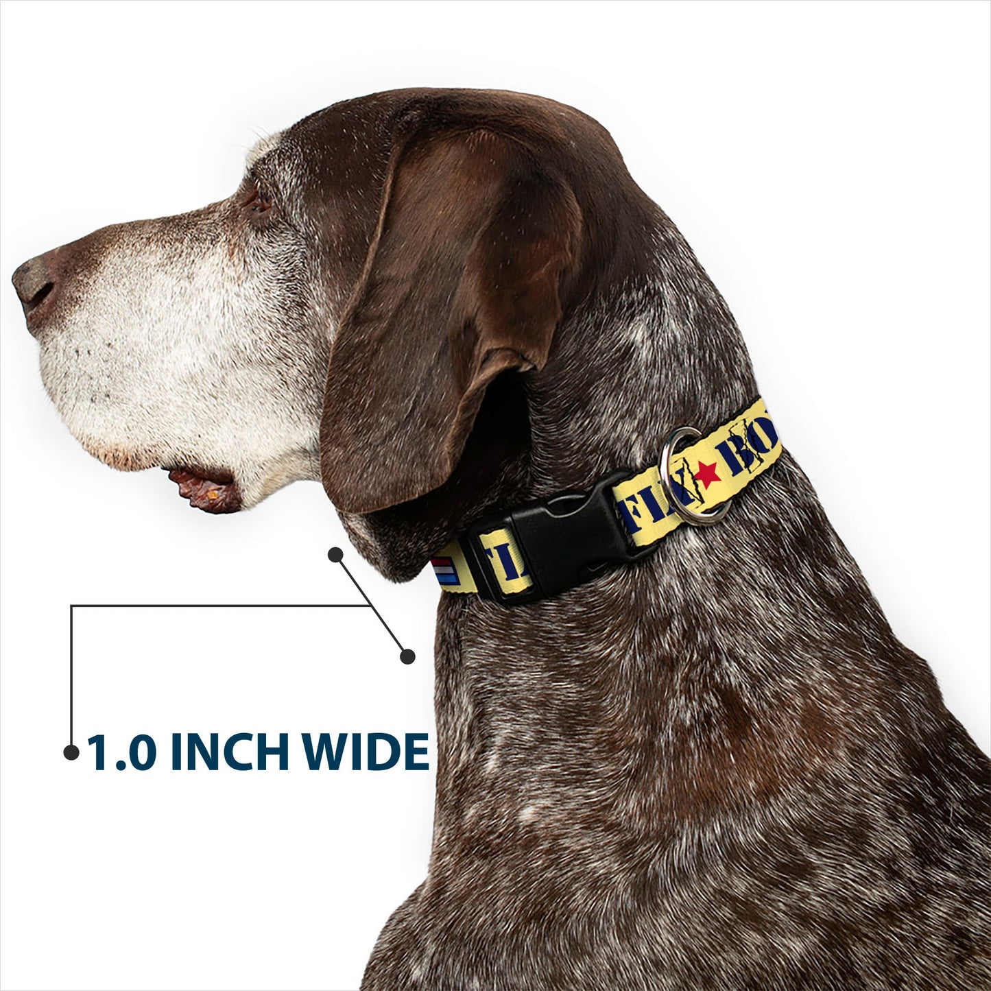 Peanuts Snoopy Flying Ace Dog Collar - Yellow/Blue/Red
