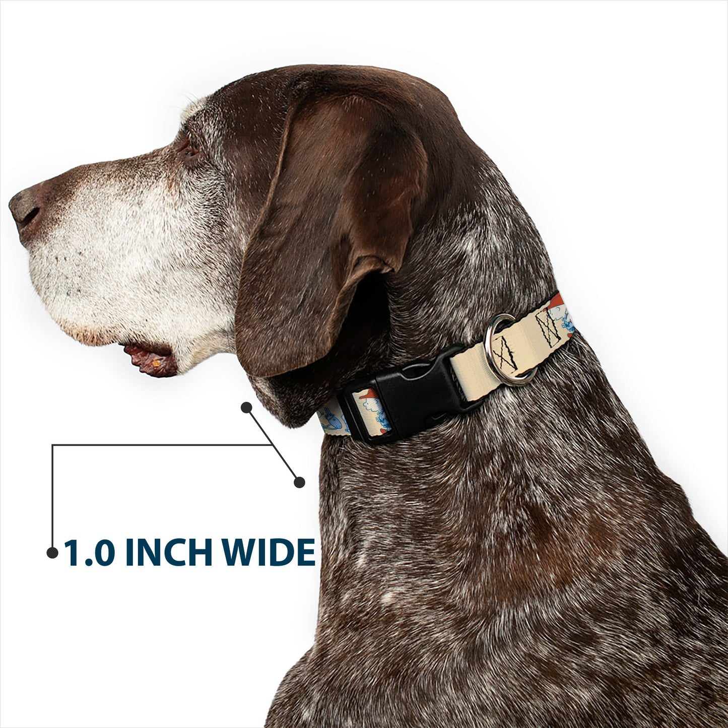 Plastic Clip Collar: Snoopy Desert Cowboy