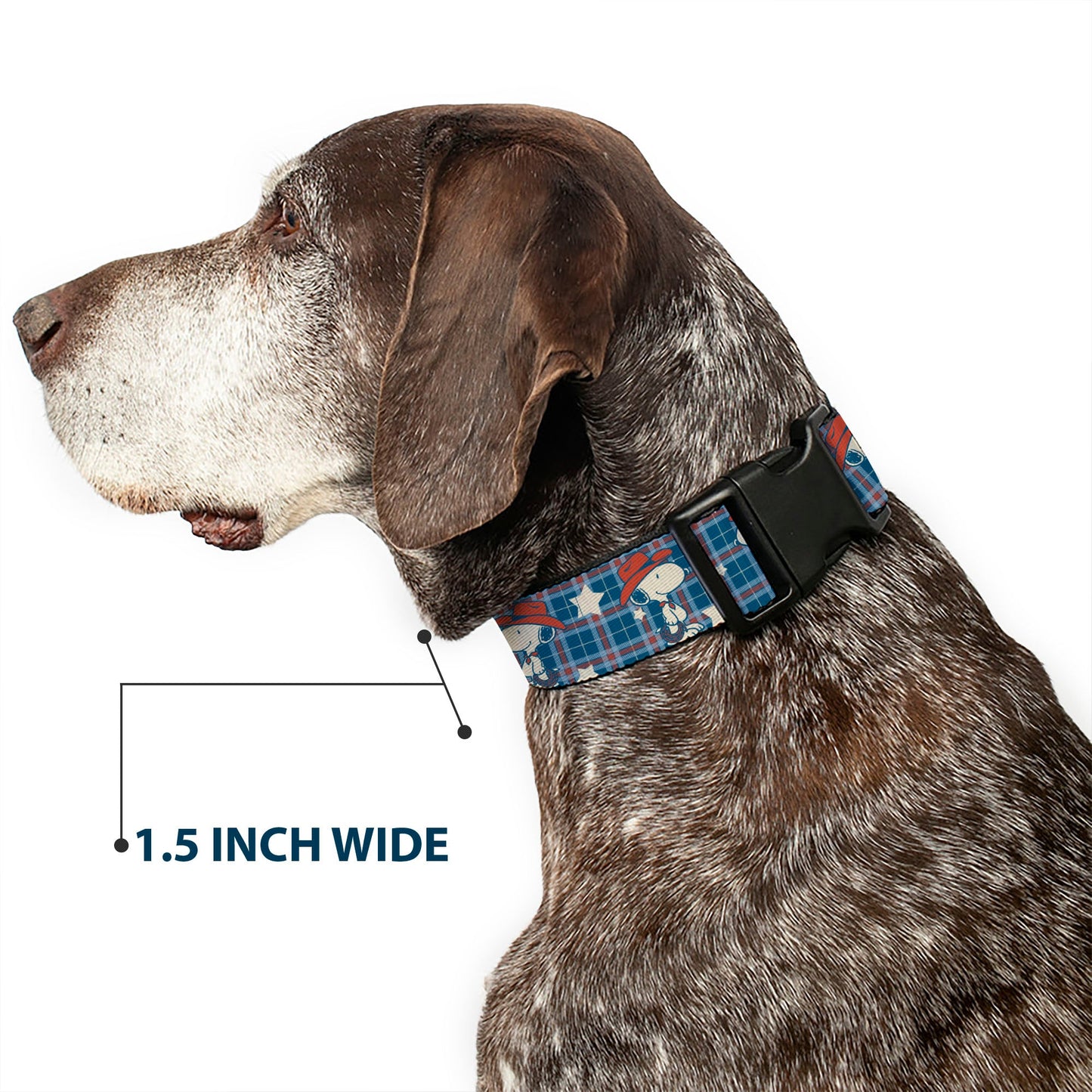 Dog Collar: Peanuts Cowboy Snoopy Americana Plaid