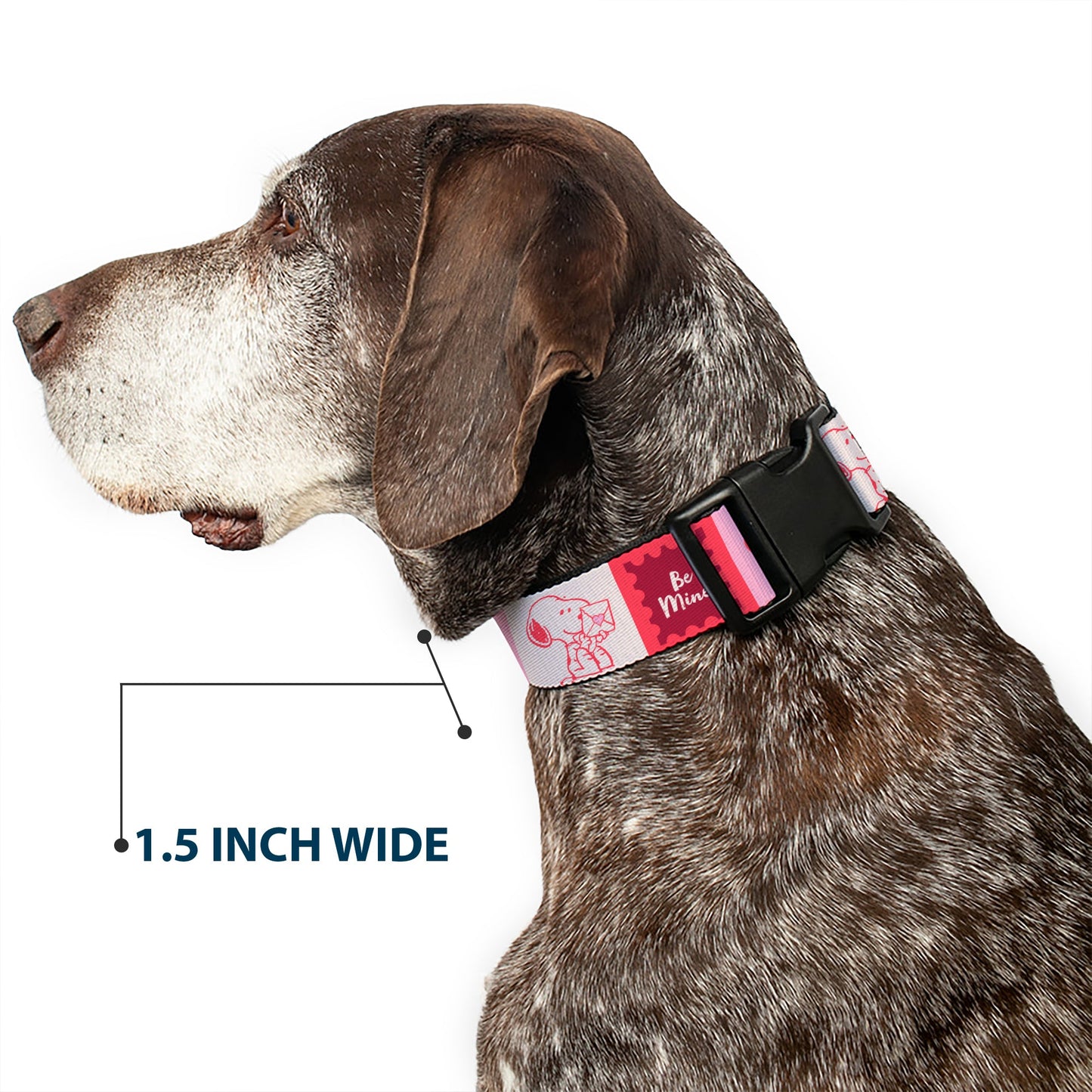 Plastic Clip Collar: Peanuts Snoopy 'BE MINE' Valentine Dog Collar