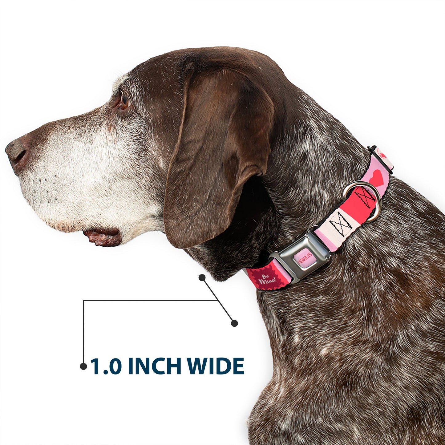 Dog Collar: Snoopy Valentine Seatbelt Buckle - Pink