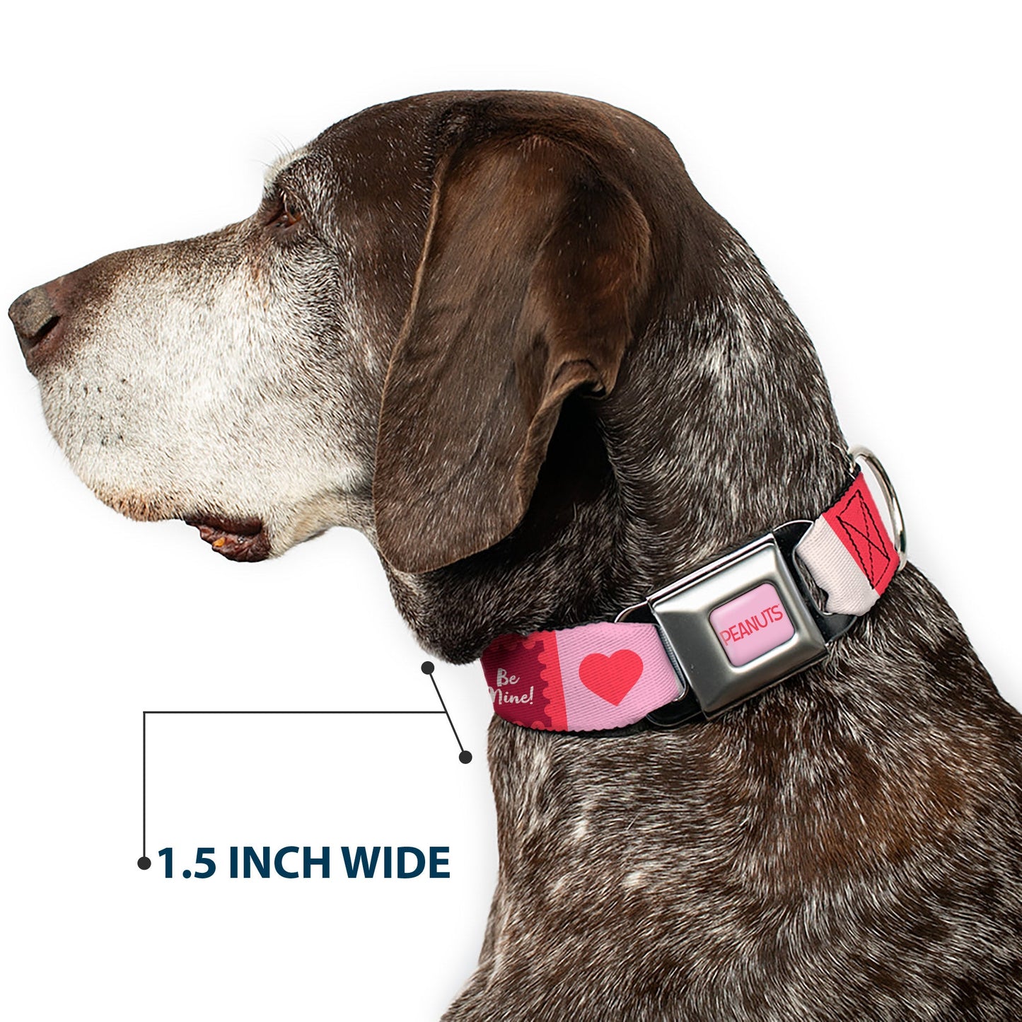 Dog Collar: Snoopy Valentine Seatbelt Buckle - Pink