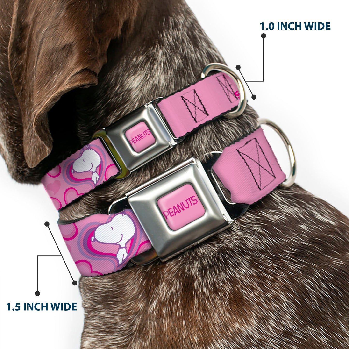 Peanuts Snoopy Valentine Hearts Seatbelt Buckle Dog Collar