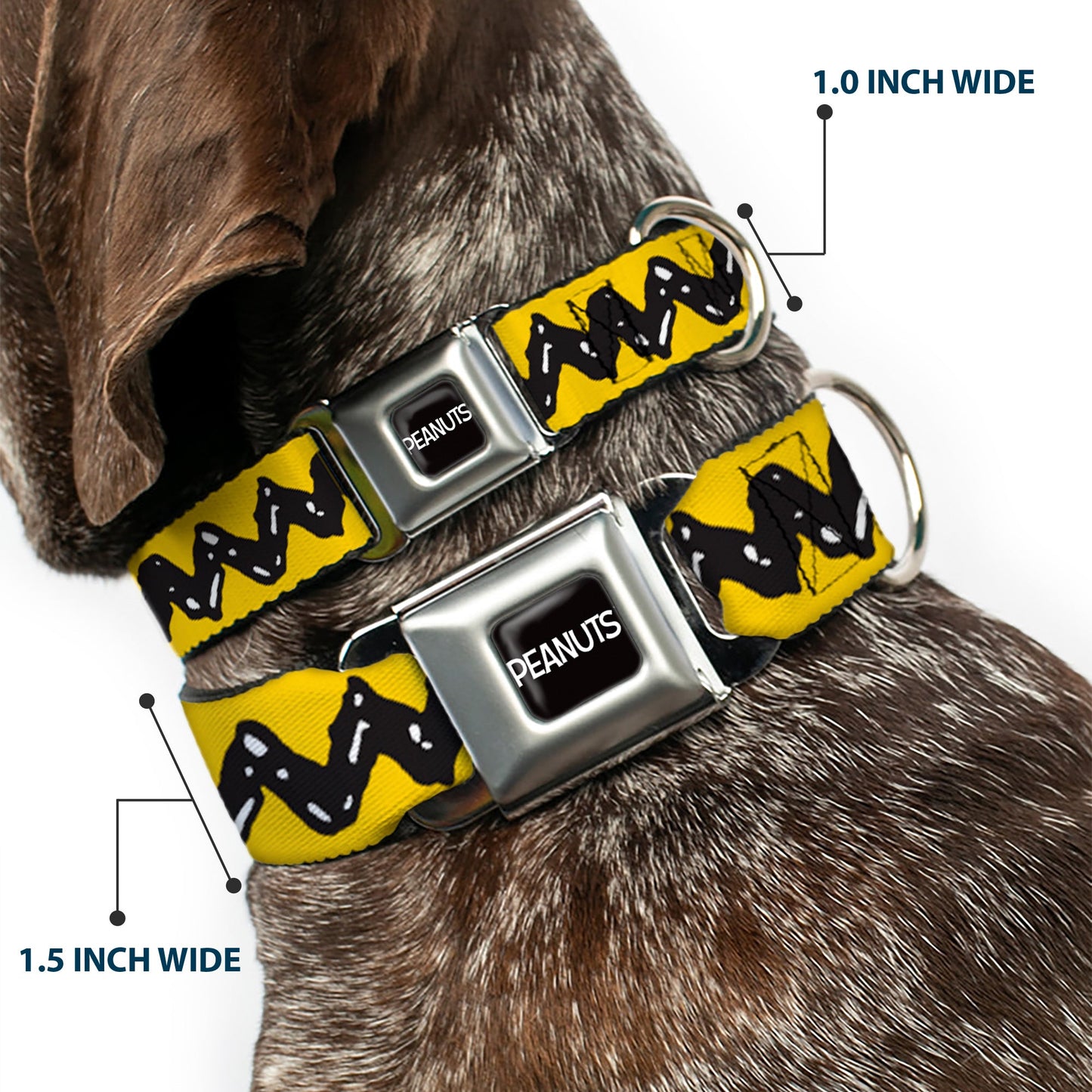 Peanuts Charlie Brown Zig Zag Seatbelt Buckle Dog Collar