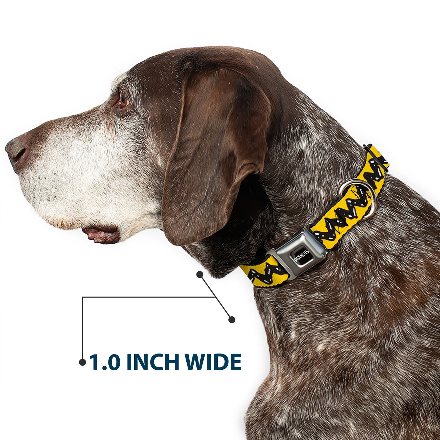 Peanuts Charlie Brown Zig Zag Seatbelt Buckle Dog Collar