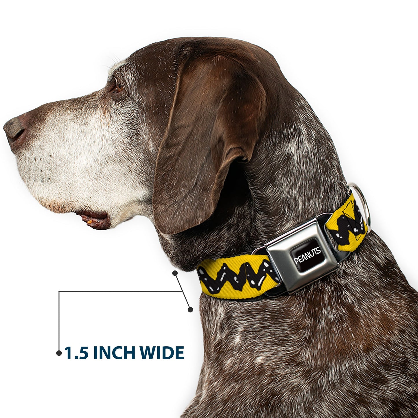 Peanuts Charlie Brown Zig Zag Seatbelt Buckle Dog Collar