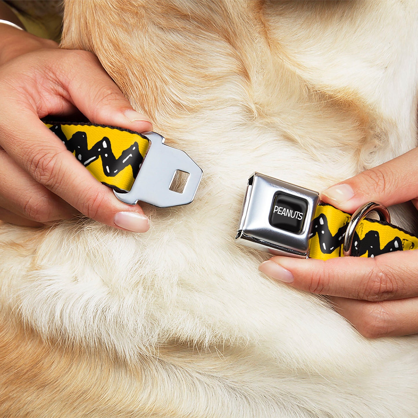 Peanuts Charlie Brown Zig Zag Seatbelt Buckle Dog Collar