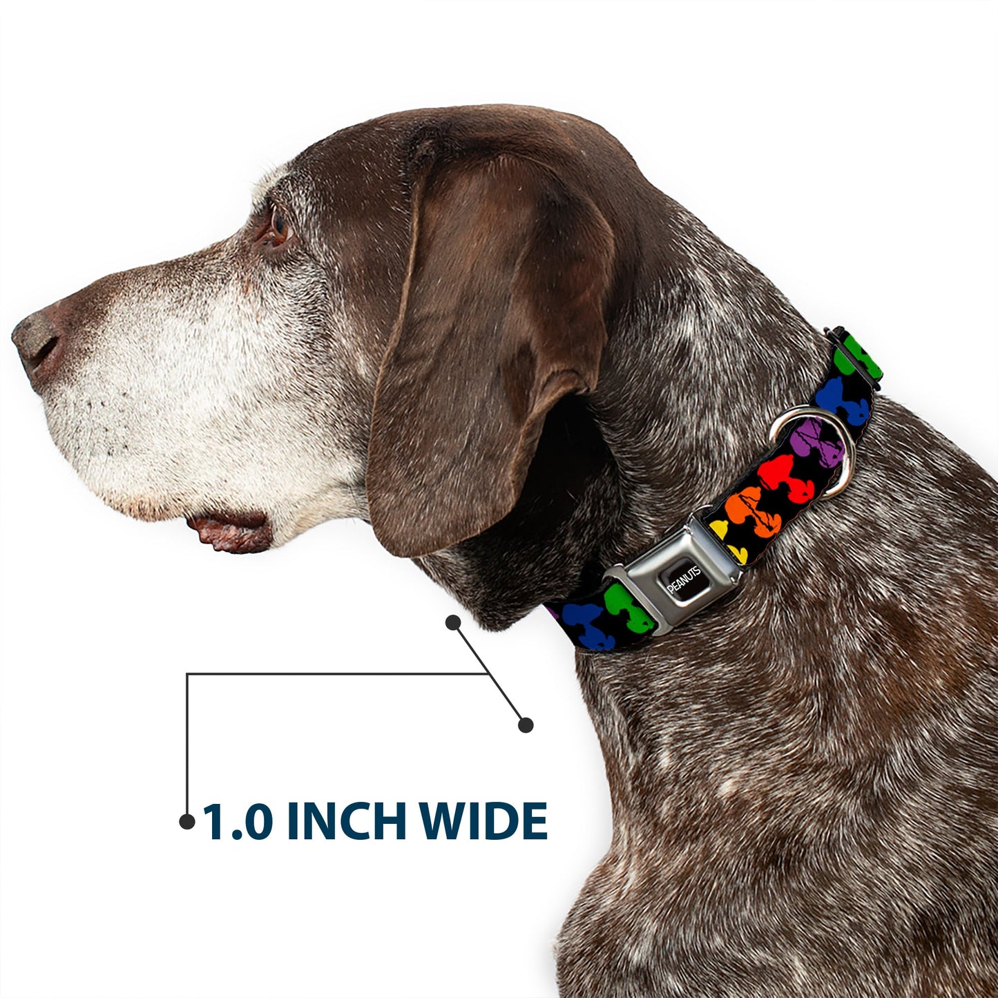 Peanuts Snoopy Dog Collar with Seatbelt Buckle at The Peanuts Store