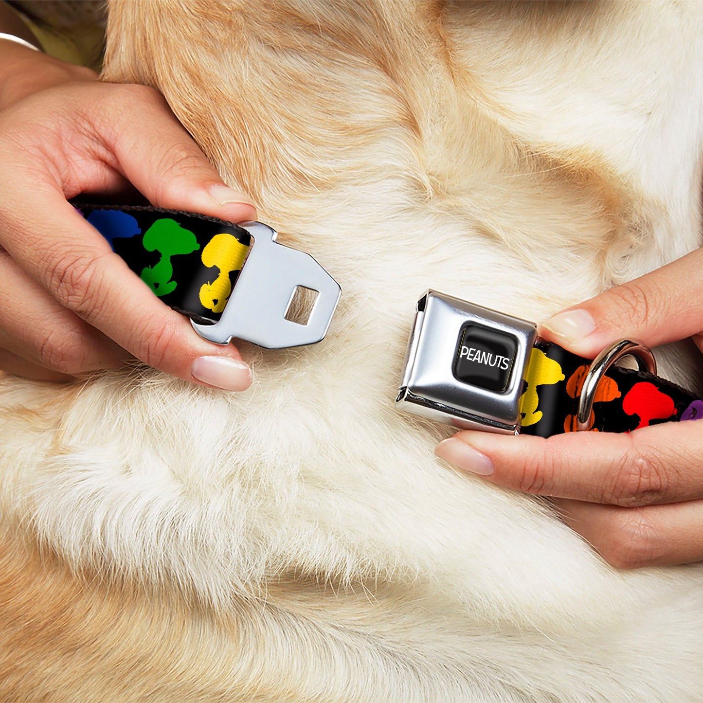 Peanuts Snoopy Dog Collar with Seatbelt Buckle at The Peanuts Store