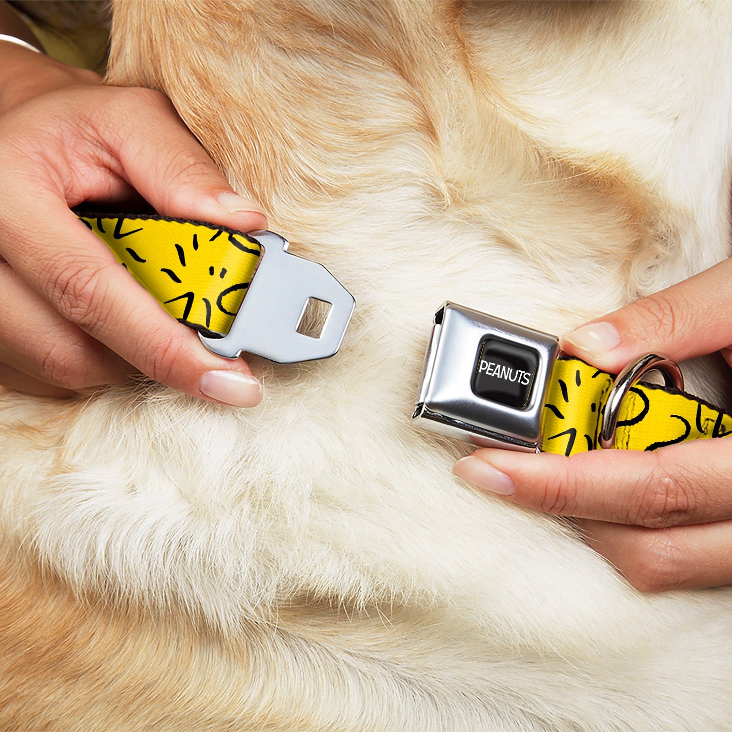 Peanuts Logo & Woodstock Seatbelt Dog Collar