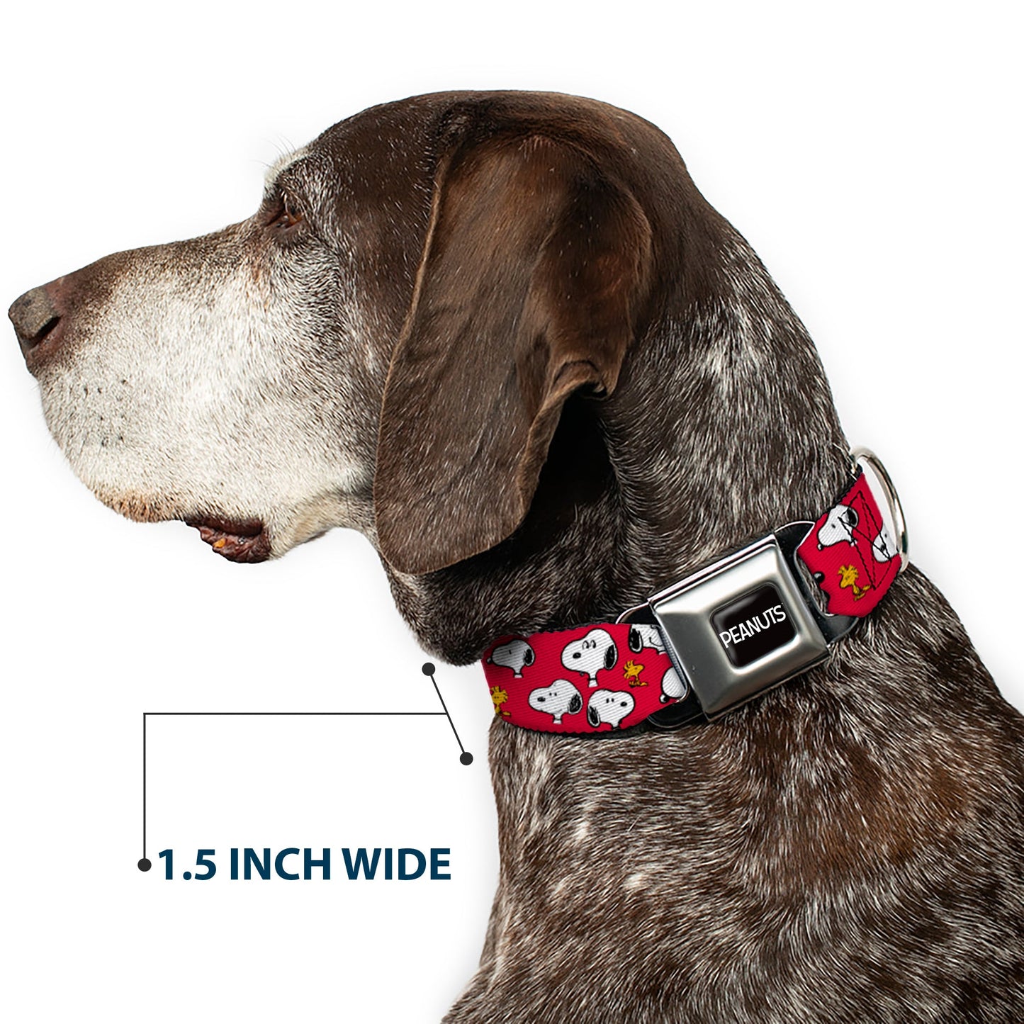 Snoopy & Woodstock Seatbelt Buckle Dog Collar