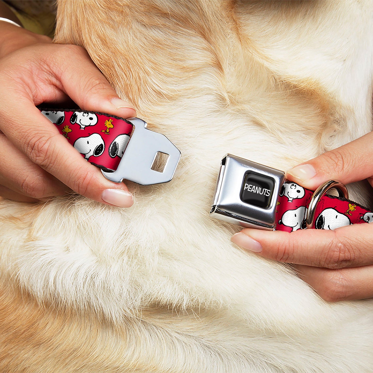 Snoopy & Woodstock Seatbelt Buckle Dog Collar