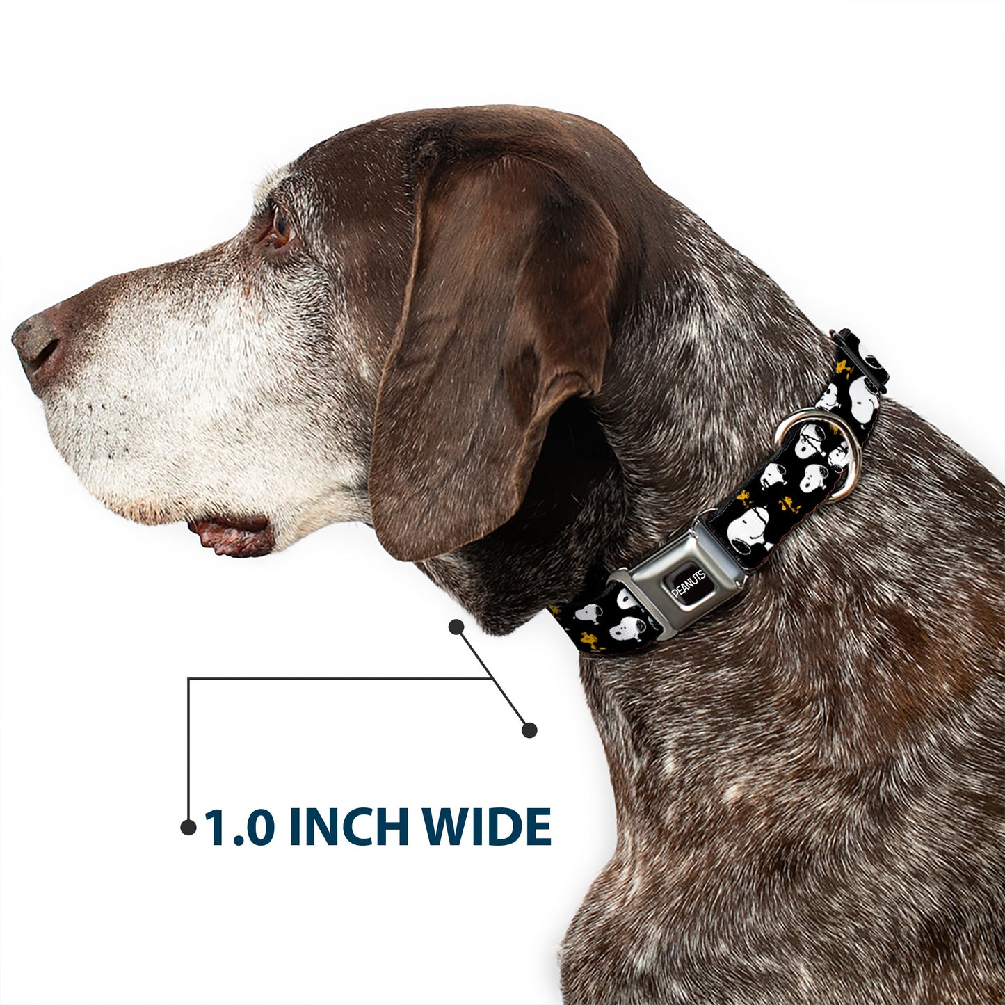 Peanuts Dog Collar with Snoopy & Woodstock Seatbelt Buckle
