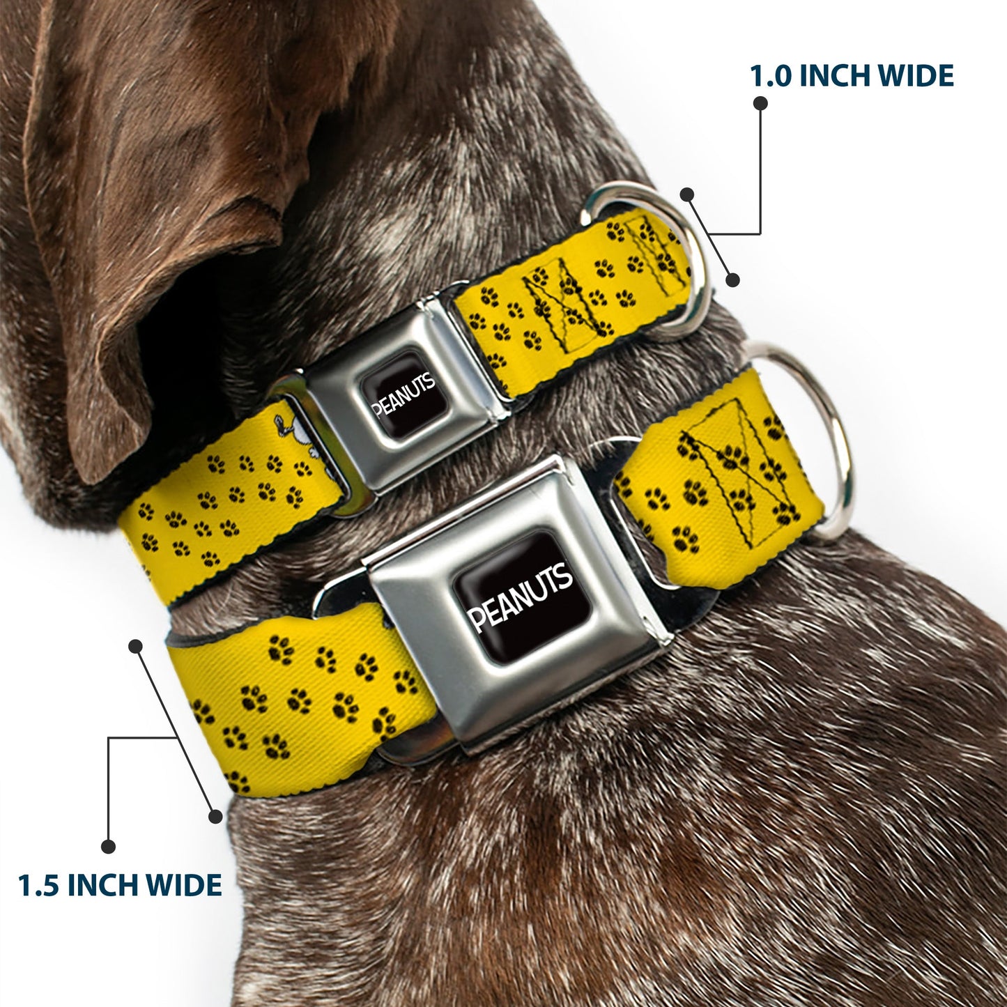 Peanuts Dog Collar: Snoopy Paw Print Seatbelt Buckle.