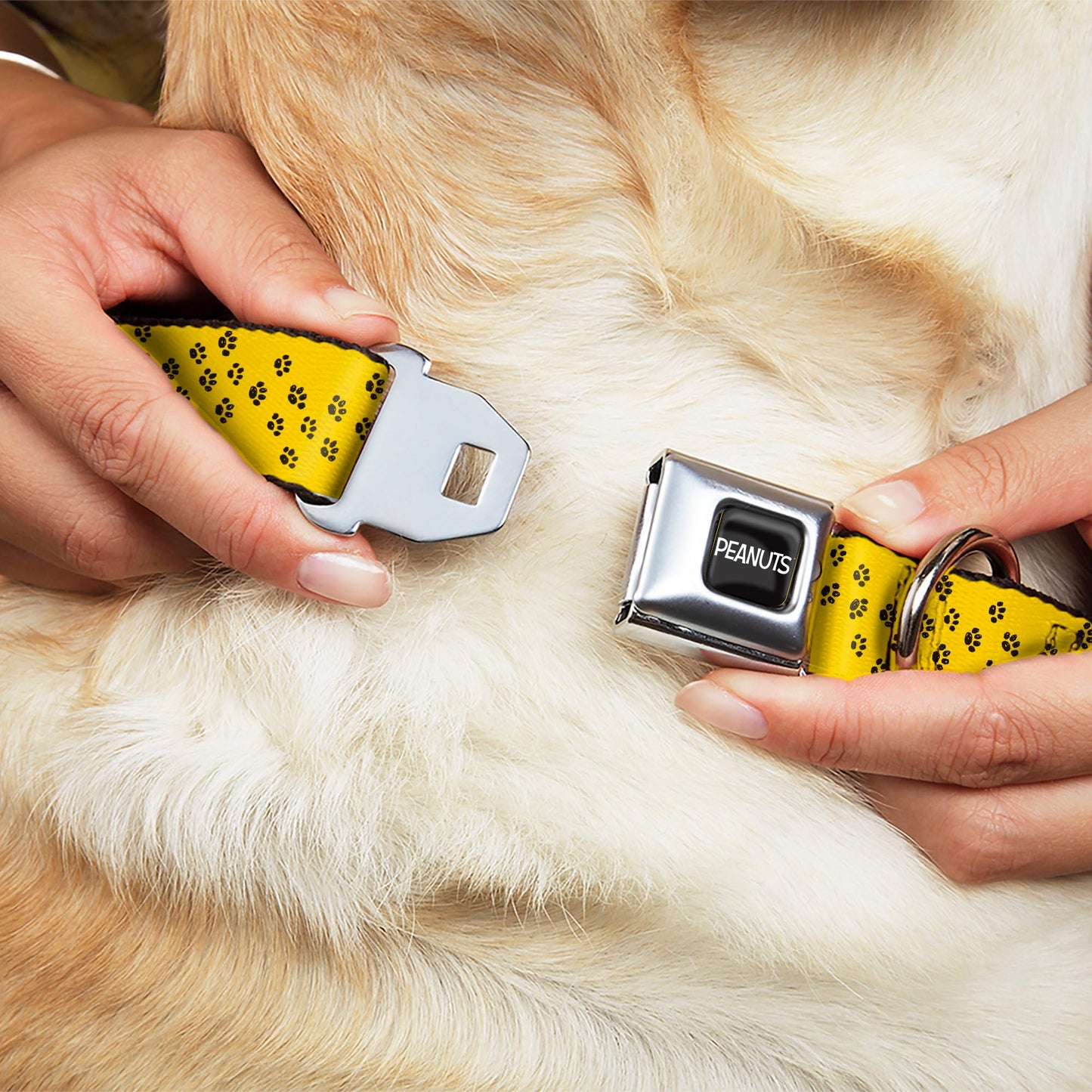 Peanuts Dog Collar: Snoopy Paw Print Seatbelt Buckle.