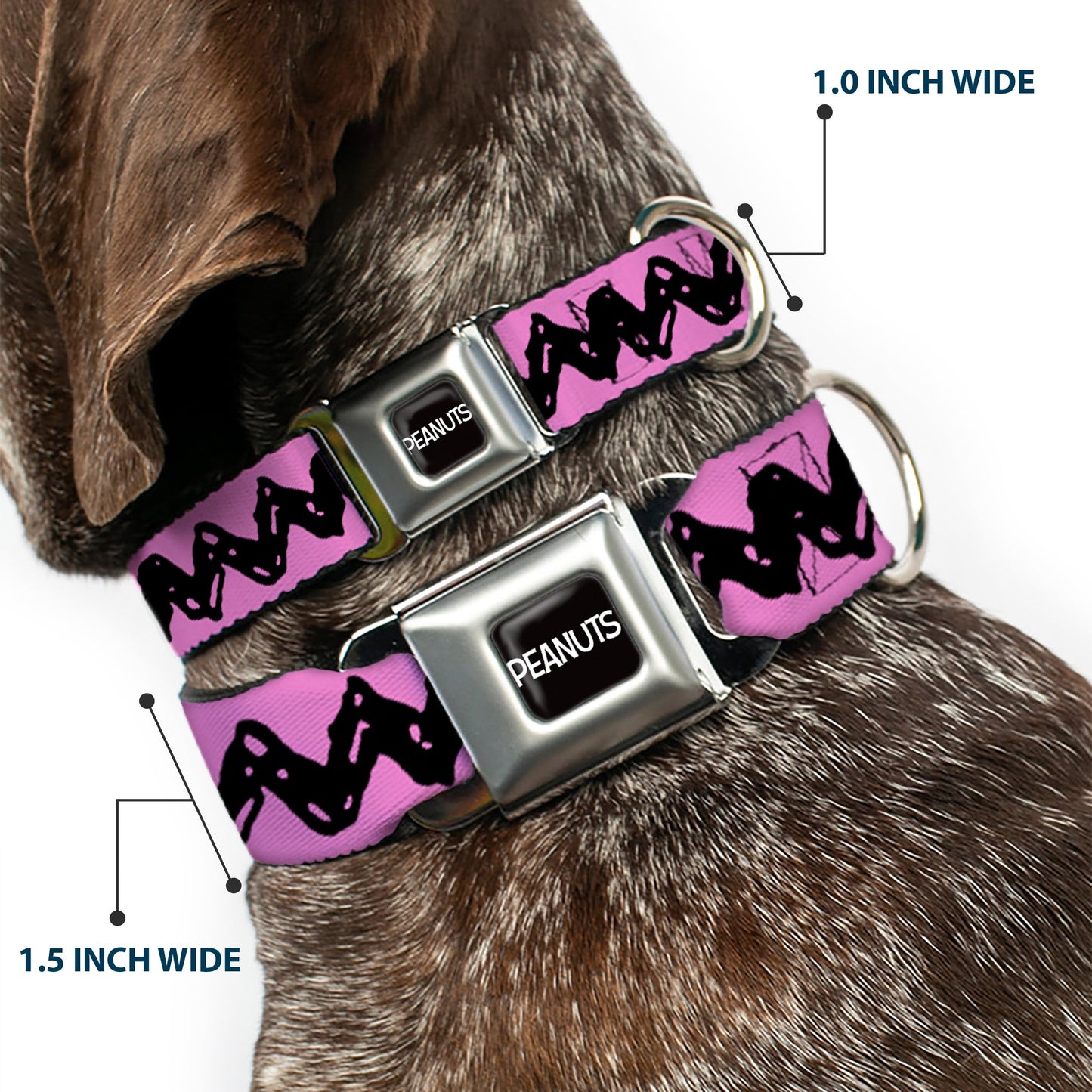 Dog Collar - Charlie Brown Zig Zag Design | The Peanuts Store