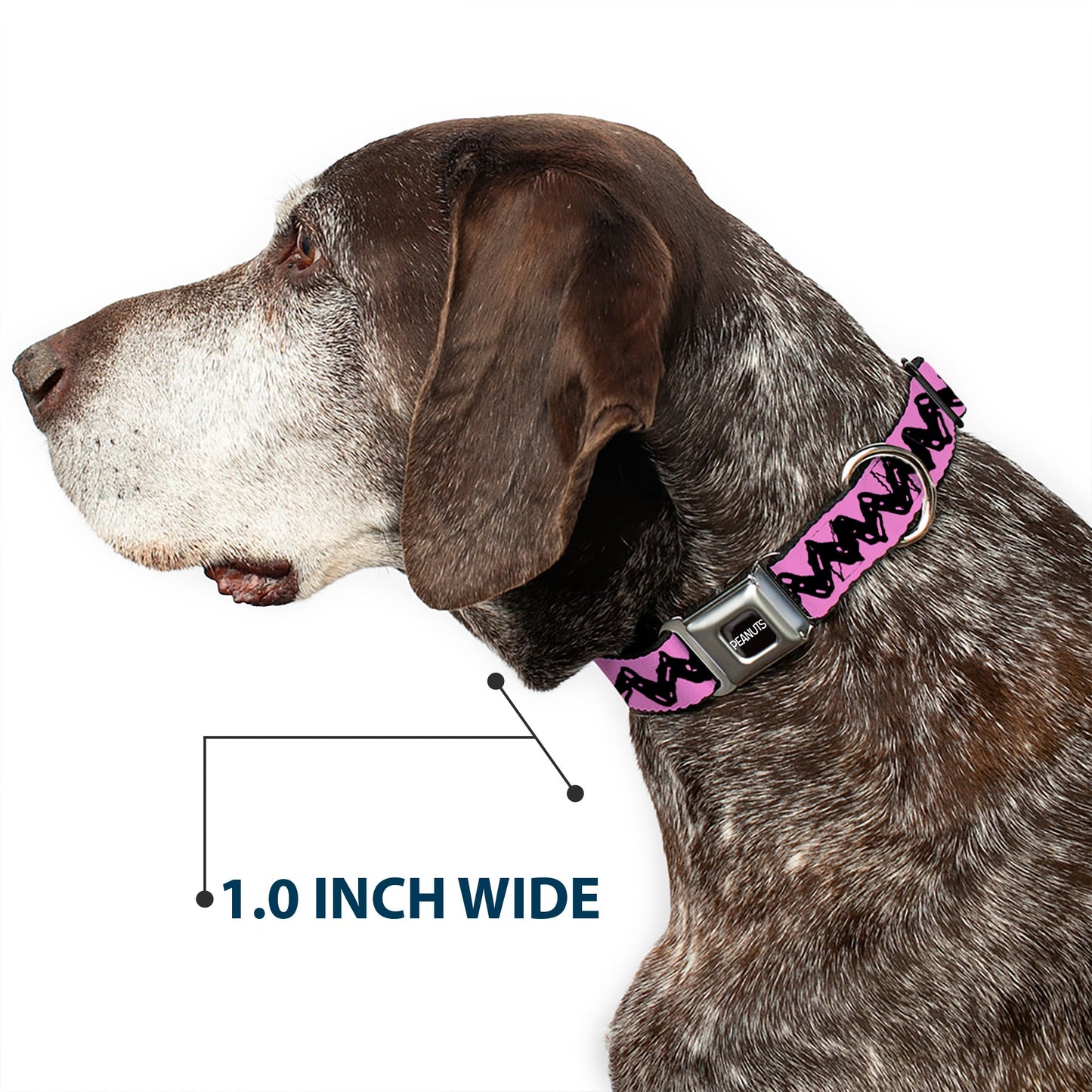 Dog Collar - Charlie Brown Zig Zag Design | The Peanuts Store