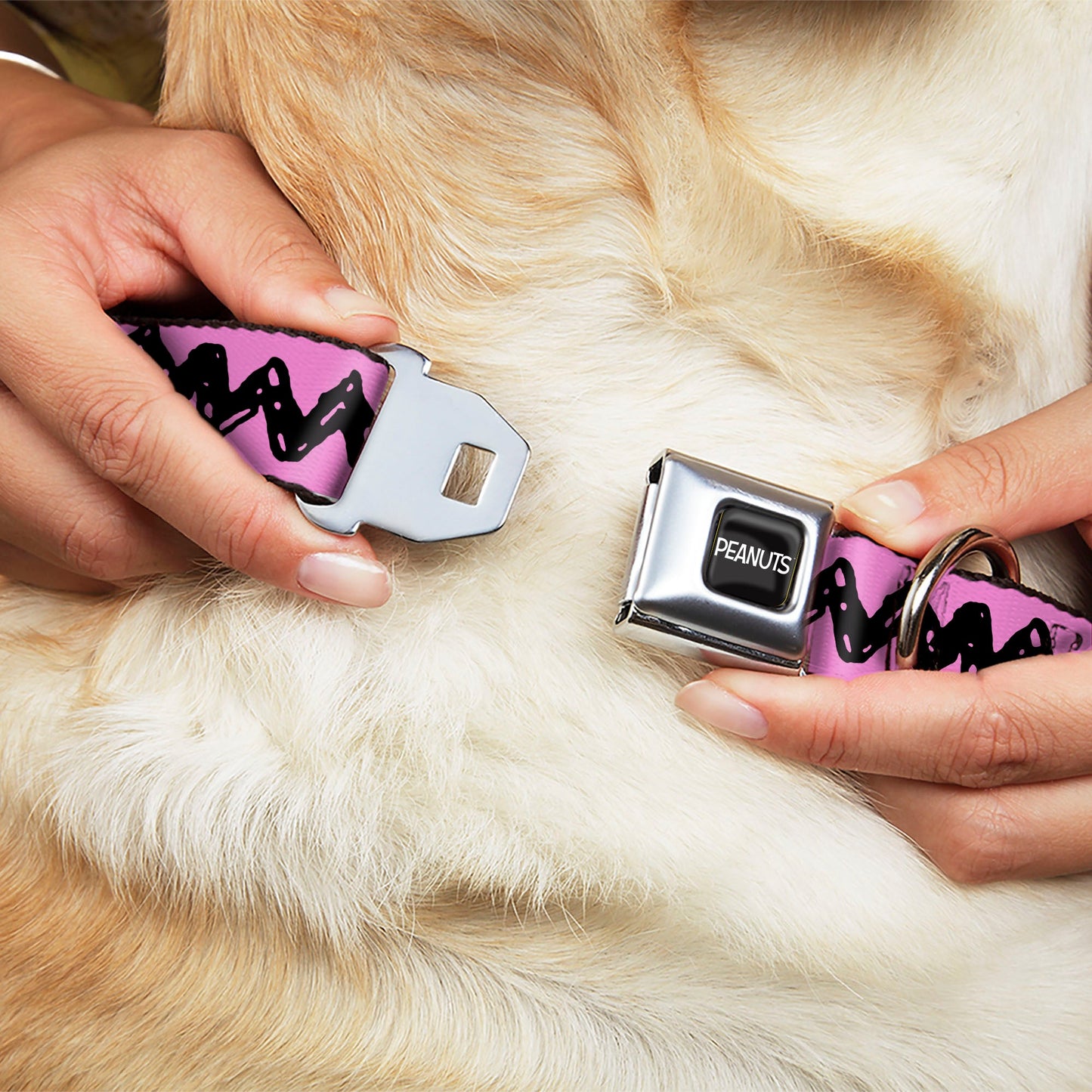 Dog Collar - Charlie Brown Zig Zag Design | The Peanuts Store