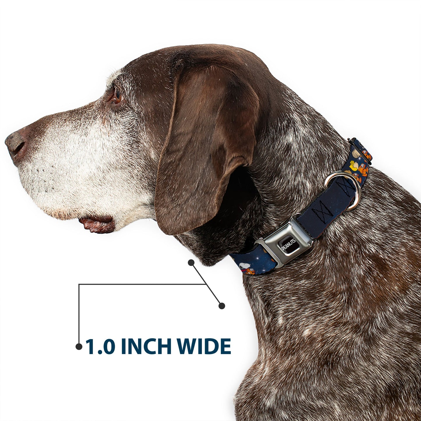 Peanuts Astronauts Seatbelt Buckle Dog Collar
