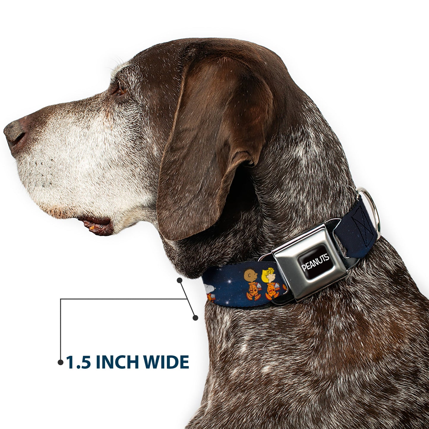 Peanuts Astronauts Seatbelt Buckle Dog Collar