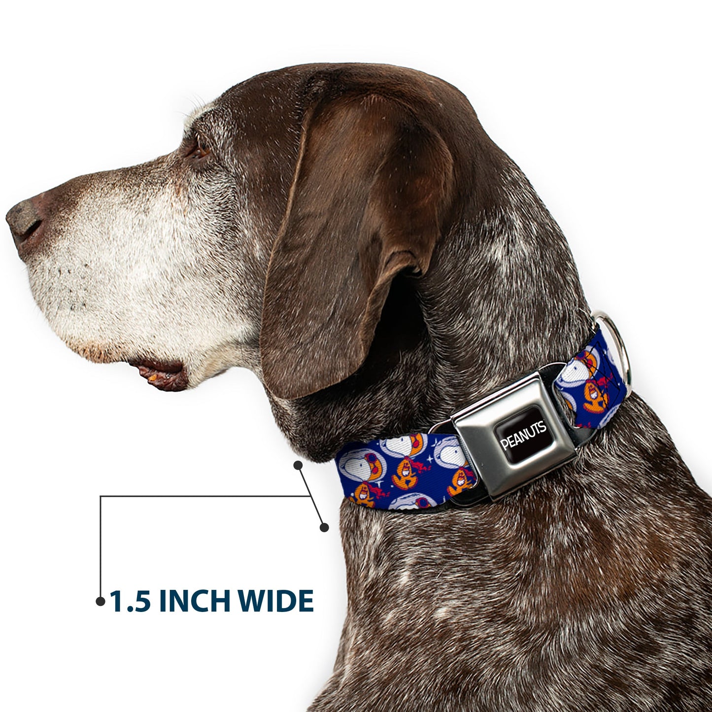 Peanuts Dog Collar with Astronaut Snoopy Seatbelt Buckle