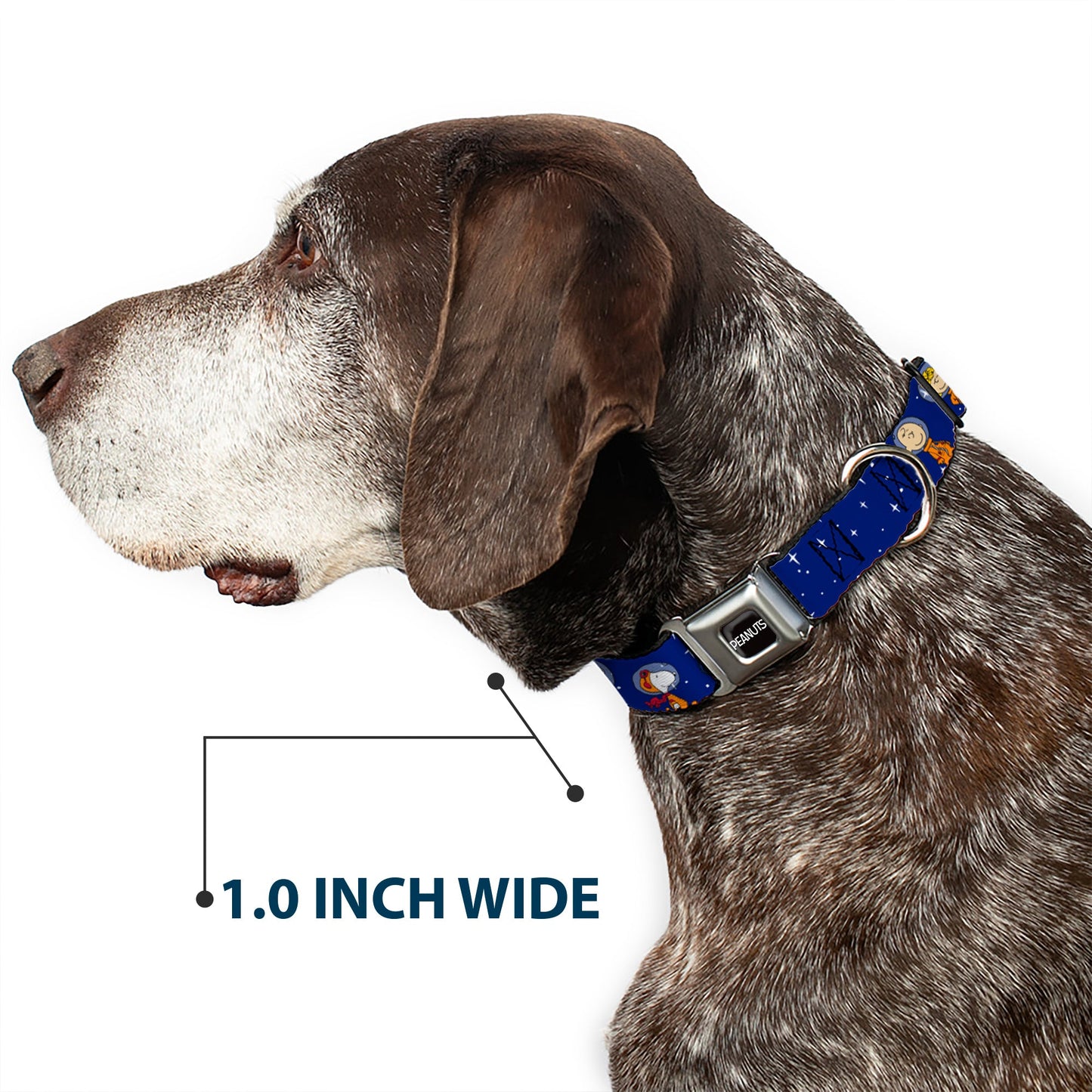 Peanuts Astronauts Dog Seatbelt Buckle Collar