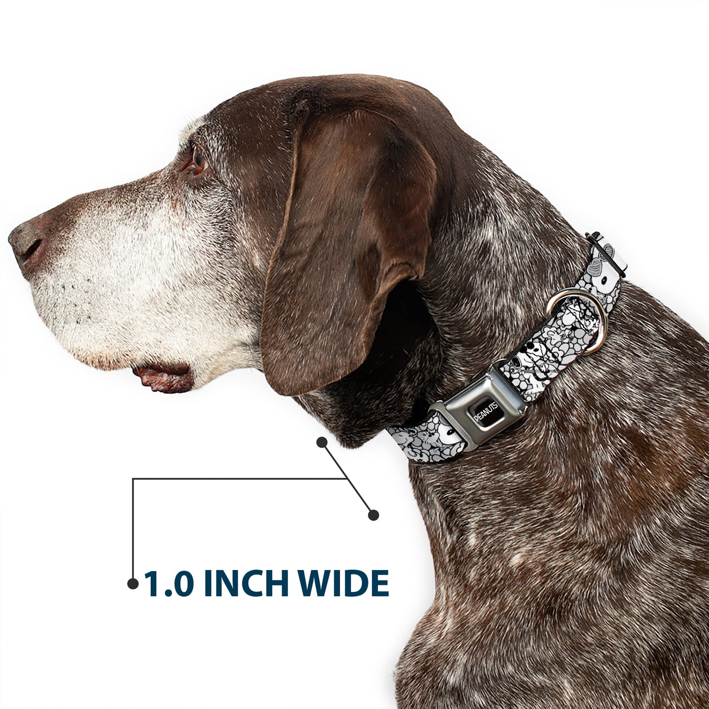 Peanuts Dog Collar featuring Snoopy Poses & Daisy Flowers