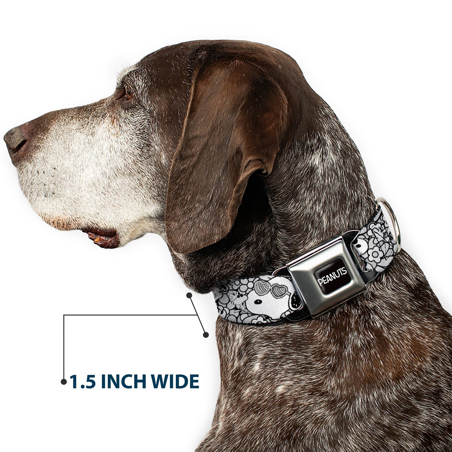 Peanuts Dog Collar featuring Snoopy Poses & Daisy Flowers