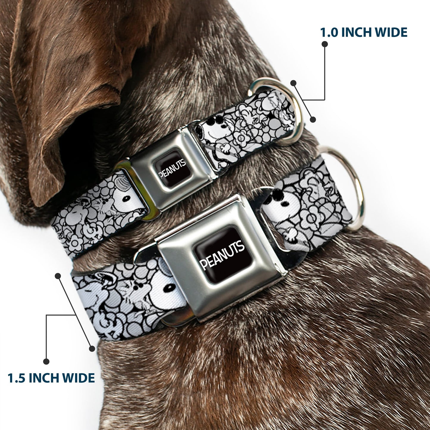 Peanuts Dog Collar featuring Snoopy Poses & Daisy Flowers