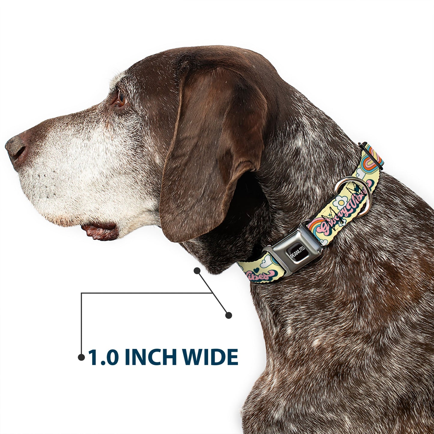 Peanuts Snoopy Dog Collar: Flying Ace & Woodstock Yellow Seatbelt Buckle