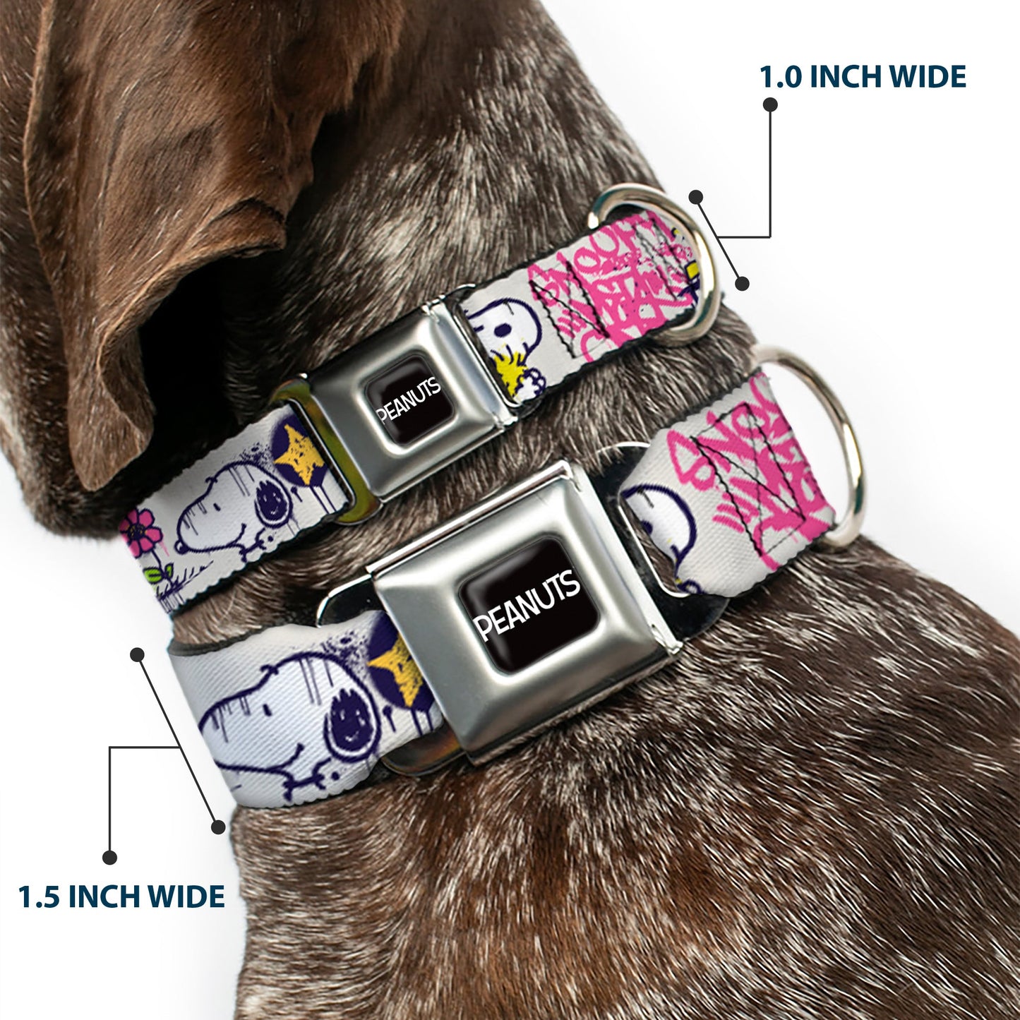 Peanuts Snoopy Woodstock Graffiti Seatbelt Dog Collar