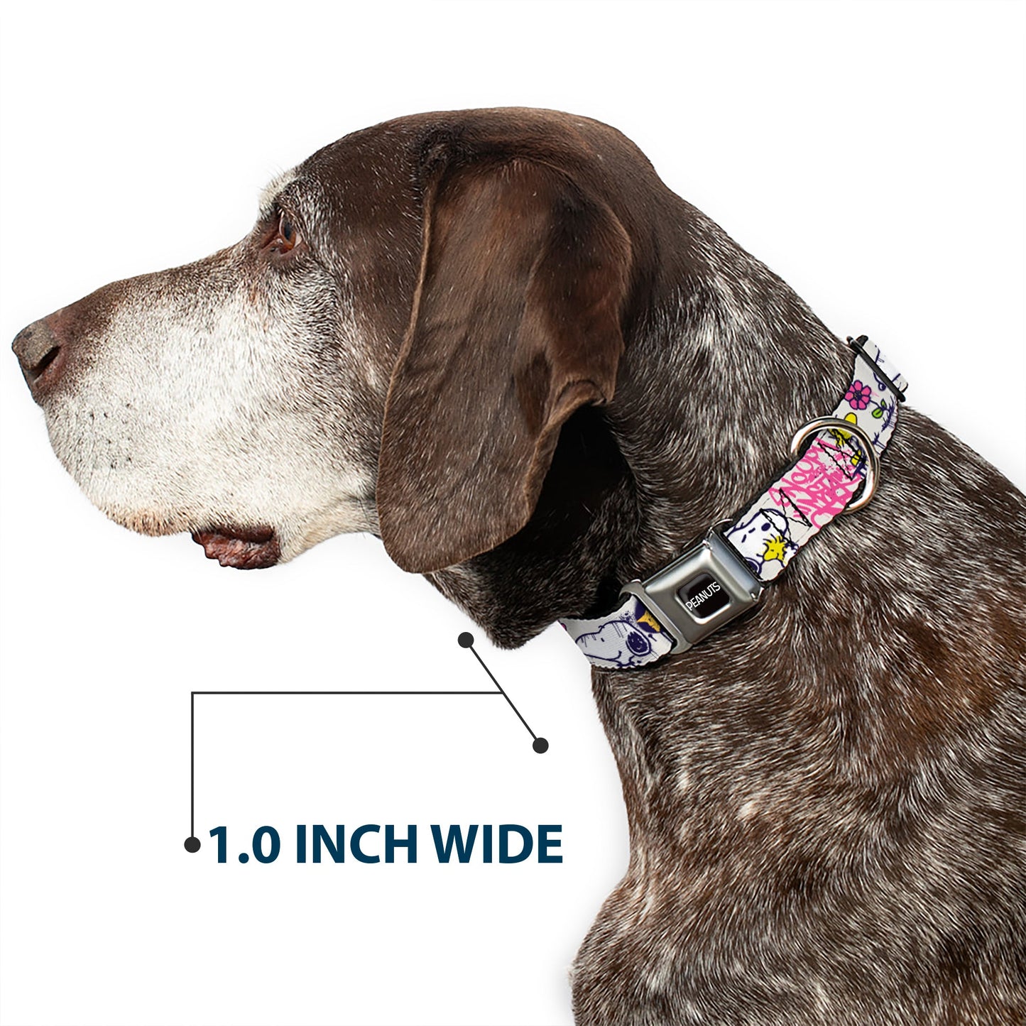 Peanuts Snoopy Woodstock Graffiti Seatbelt Dog Collar