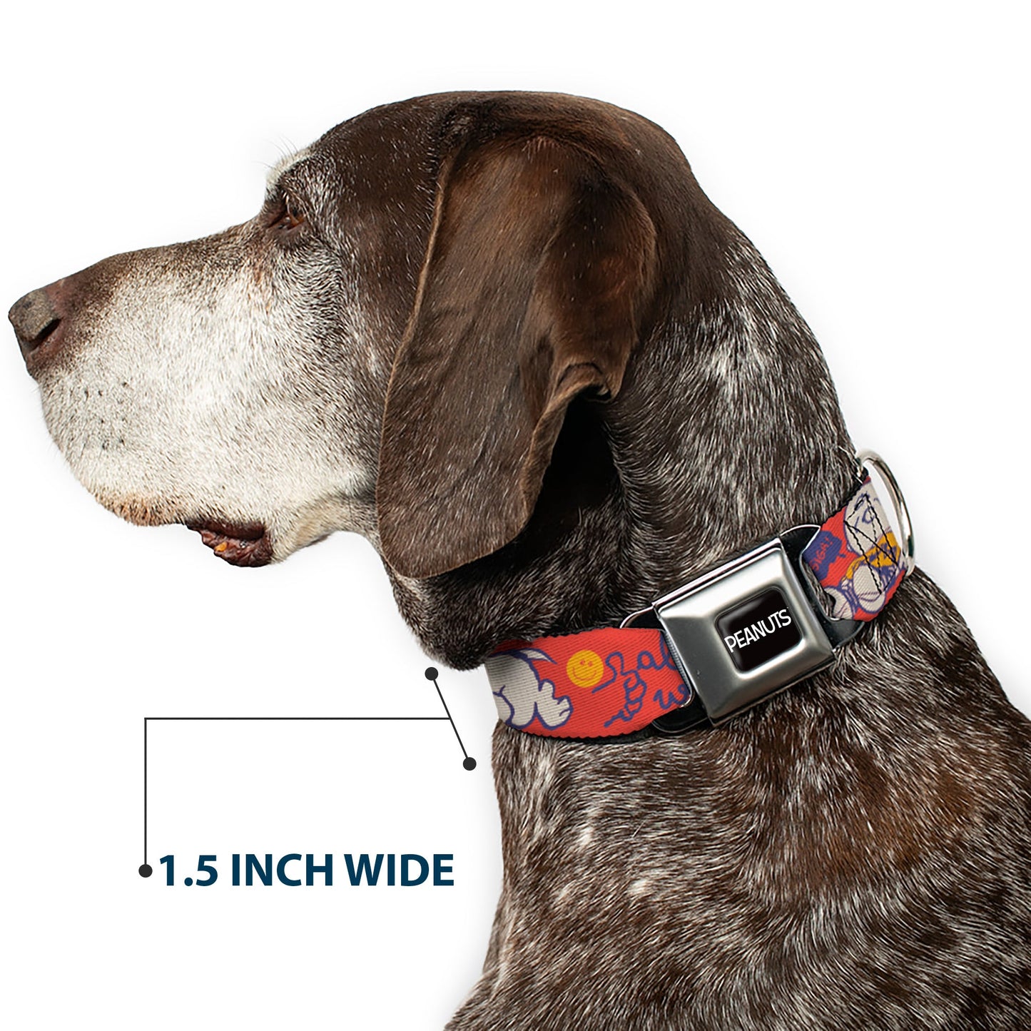 Peanuts Title Logo Seatbelt Buckle Dog Collar