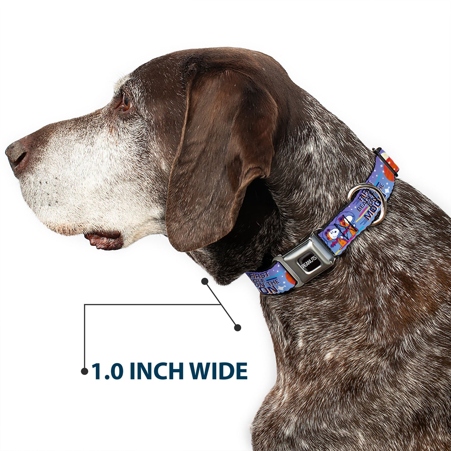 Peanuts Seatbelt Buckle Dog Collar - Astronaut Snoopy & Title Logo