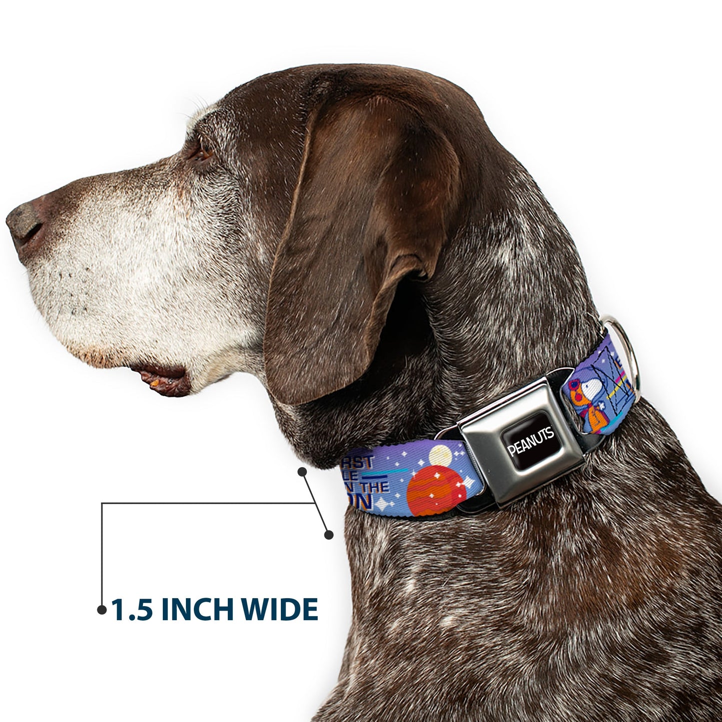 Peanuts Seatbelt Buckle Dog Collar - Astronaut Snoopy & Title Logo