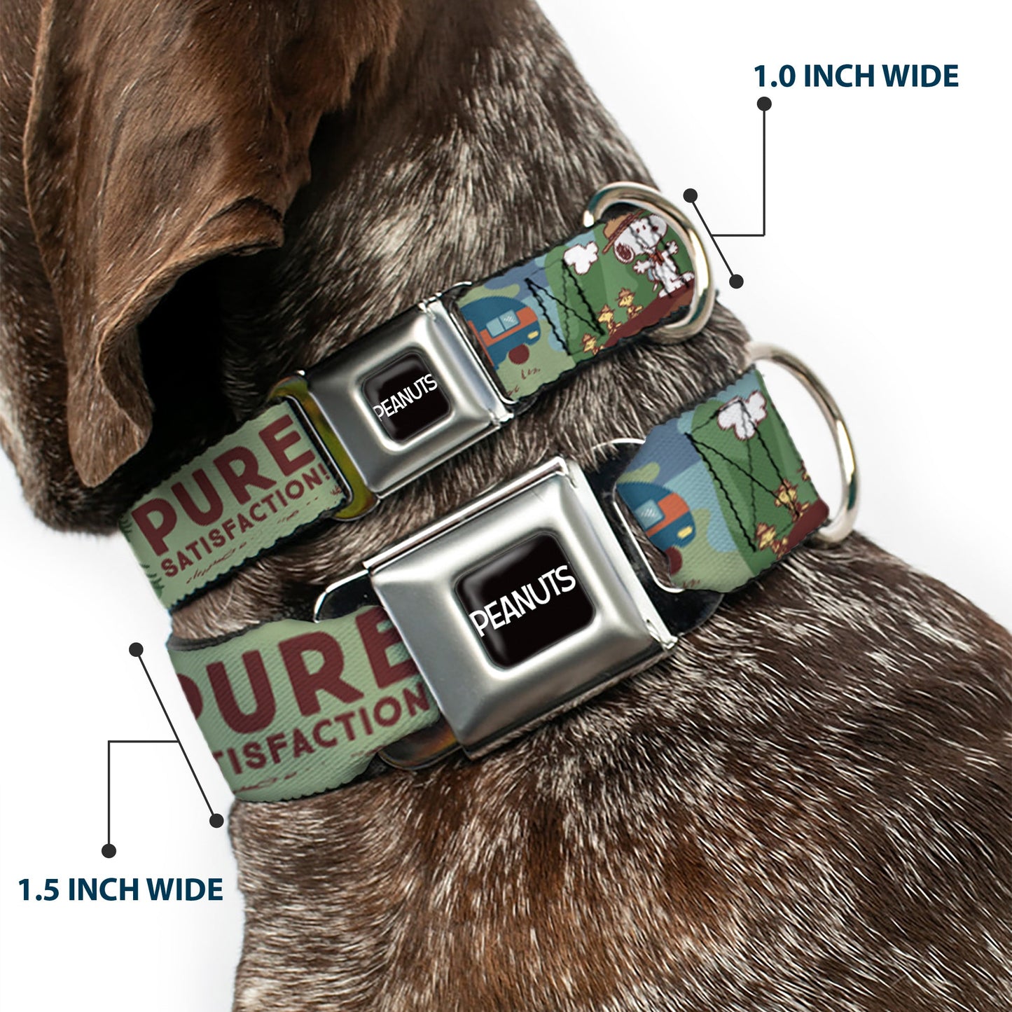 Peanuts Happy Camper Beagle Scouts Seatbelt Collar