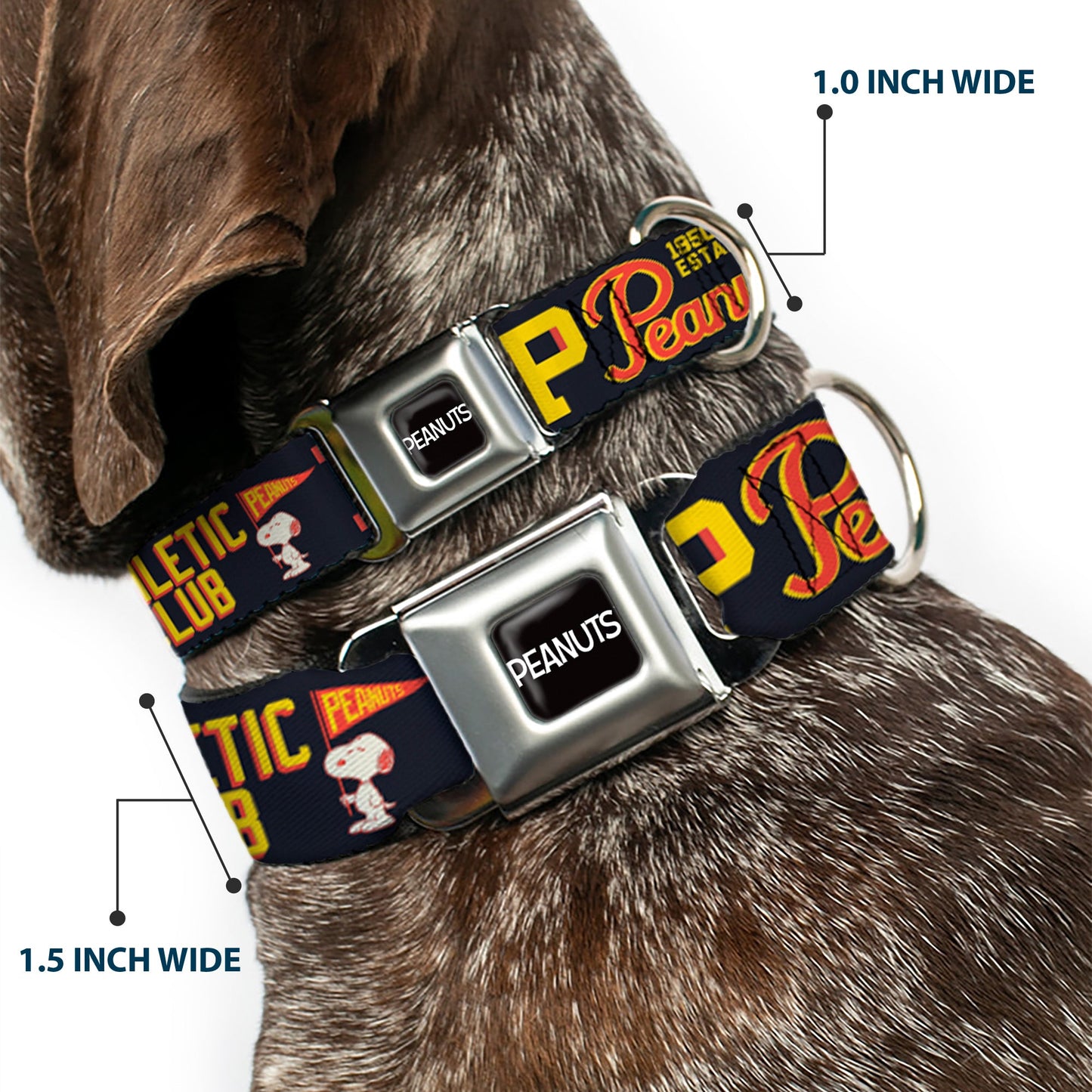 Peanuts Dog Collar - Athletic Club Varsity Logo Seatbelt Buckle