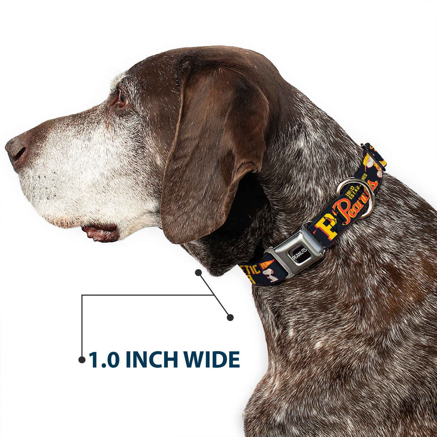 Peanuts Dog Collar - Athletic Club Varsity Logo Seatbelt Buckle