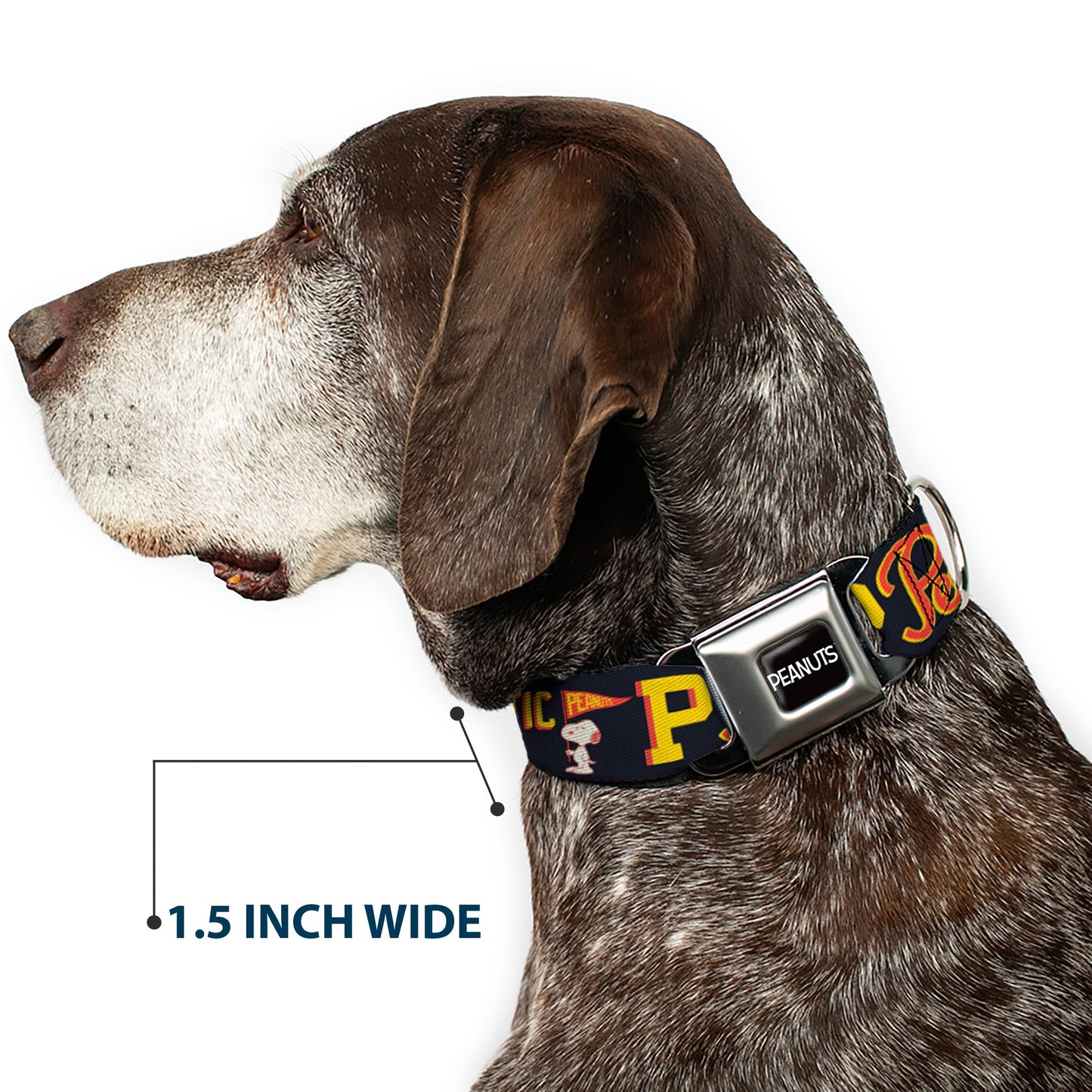 Peanuts Dog Collar - Athletic Club Varsity Logo Seatbelt Buckle