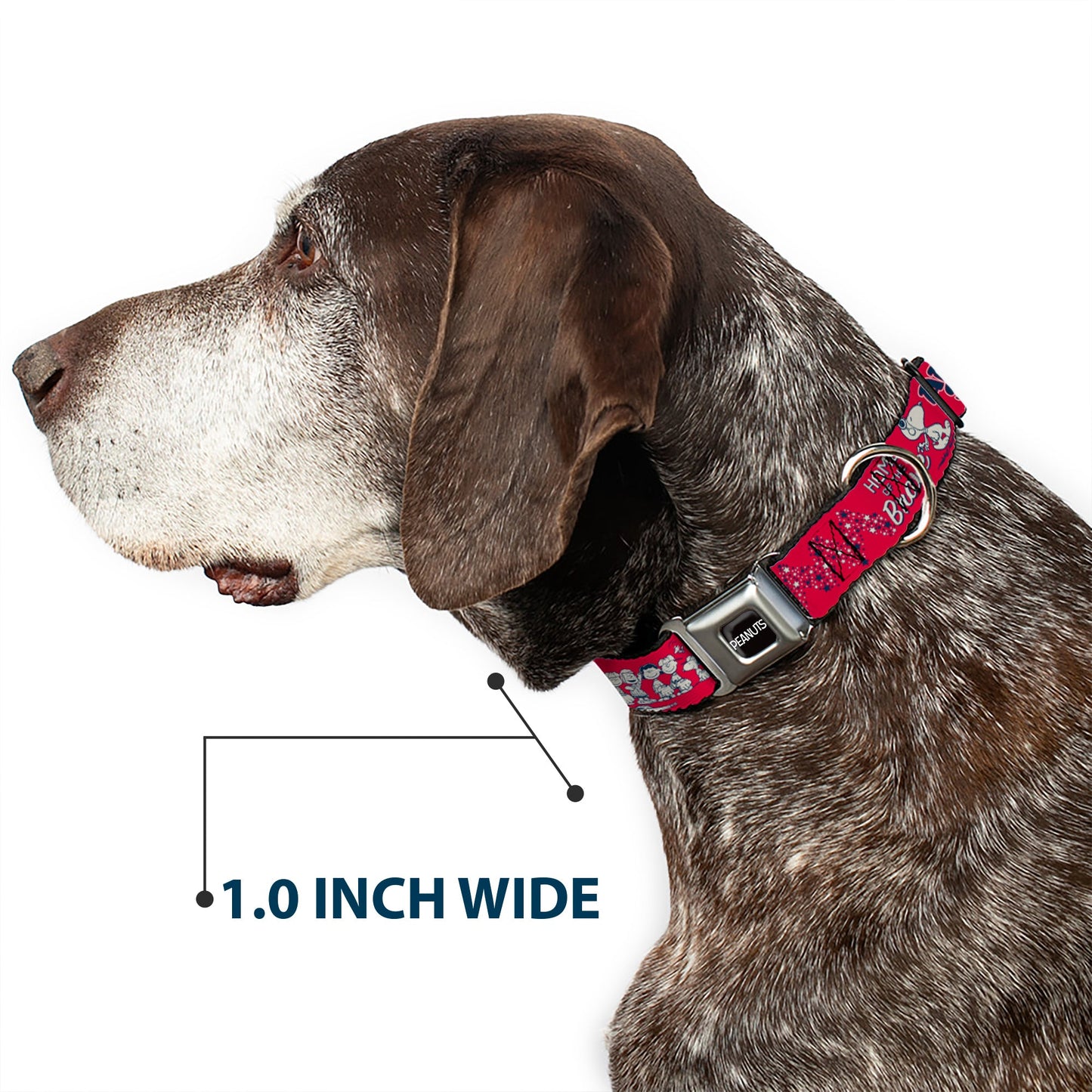 Peanuts Seatbelt Dog Collar - Authentic Buckle | The Peanuts Store