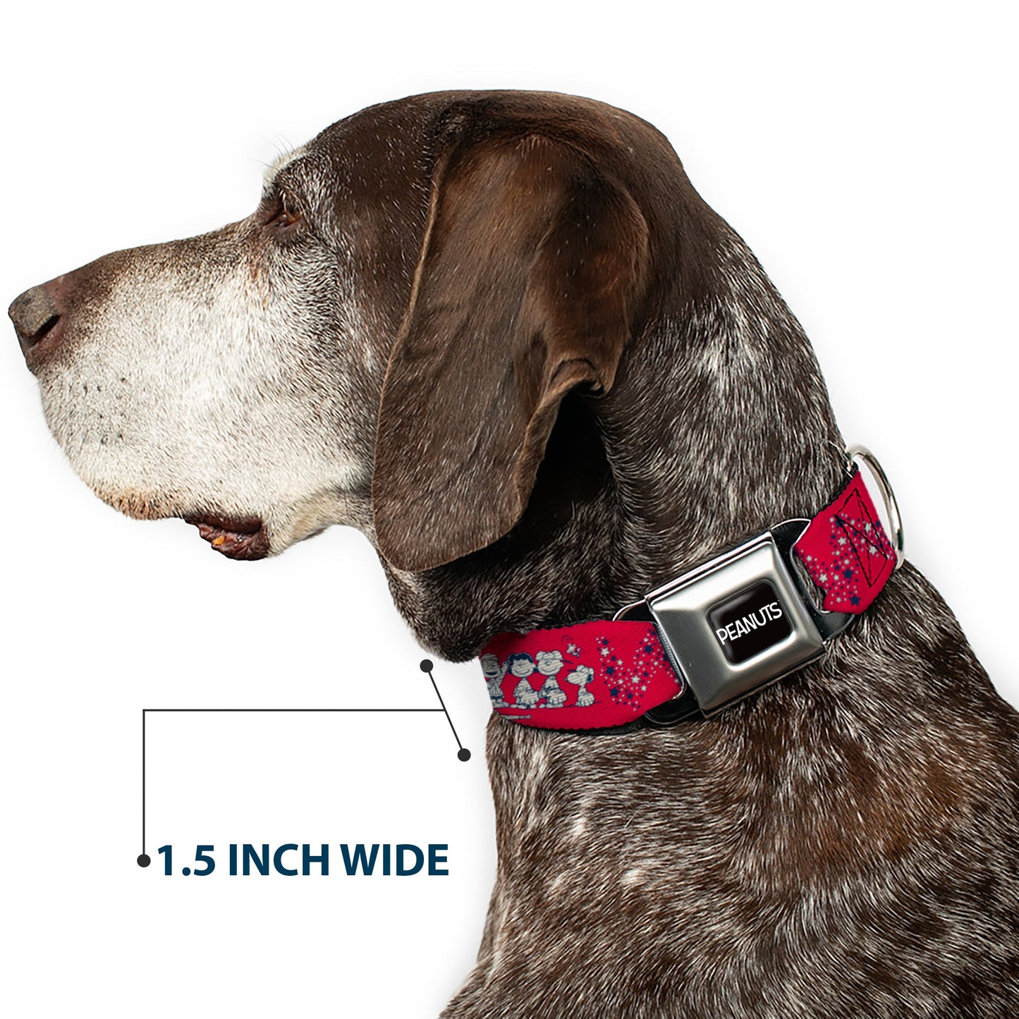 Peanuts Seatbelt Dog Collar - Authentic Buckle | The Peanuts Store