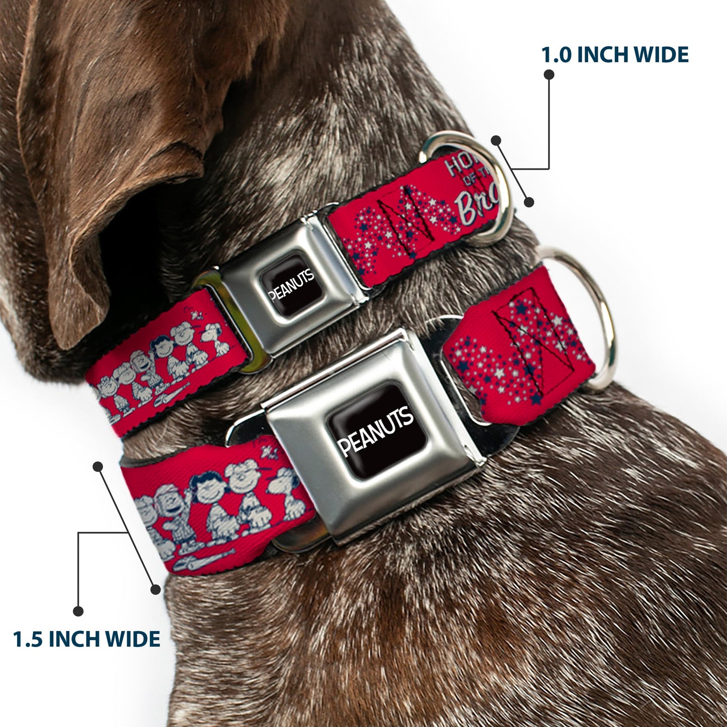 Peanuts Seatbelt Dog Collar - Authentic Buckle | The Peanuts Store