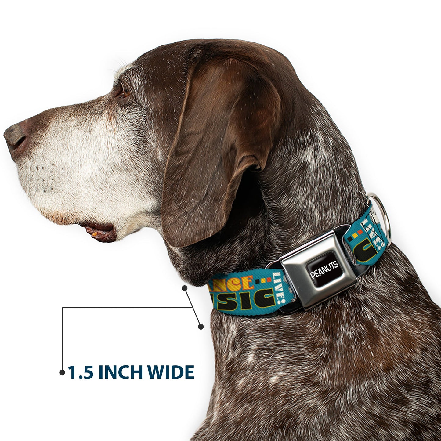 Peanuts Dog Collar with Seatbelt Buckle Design