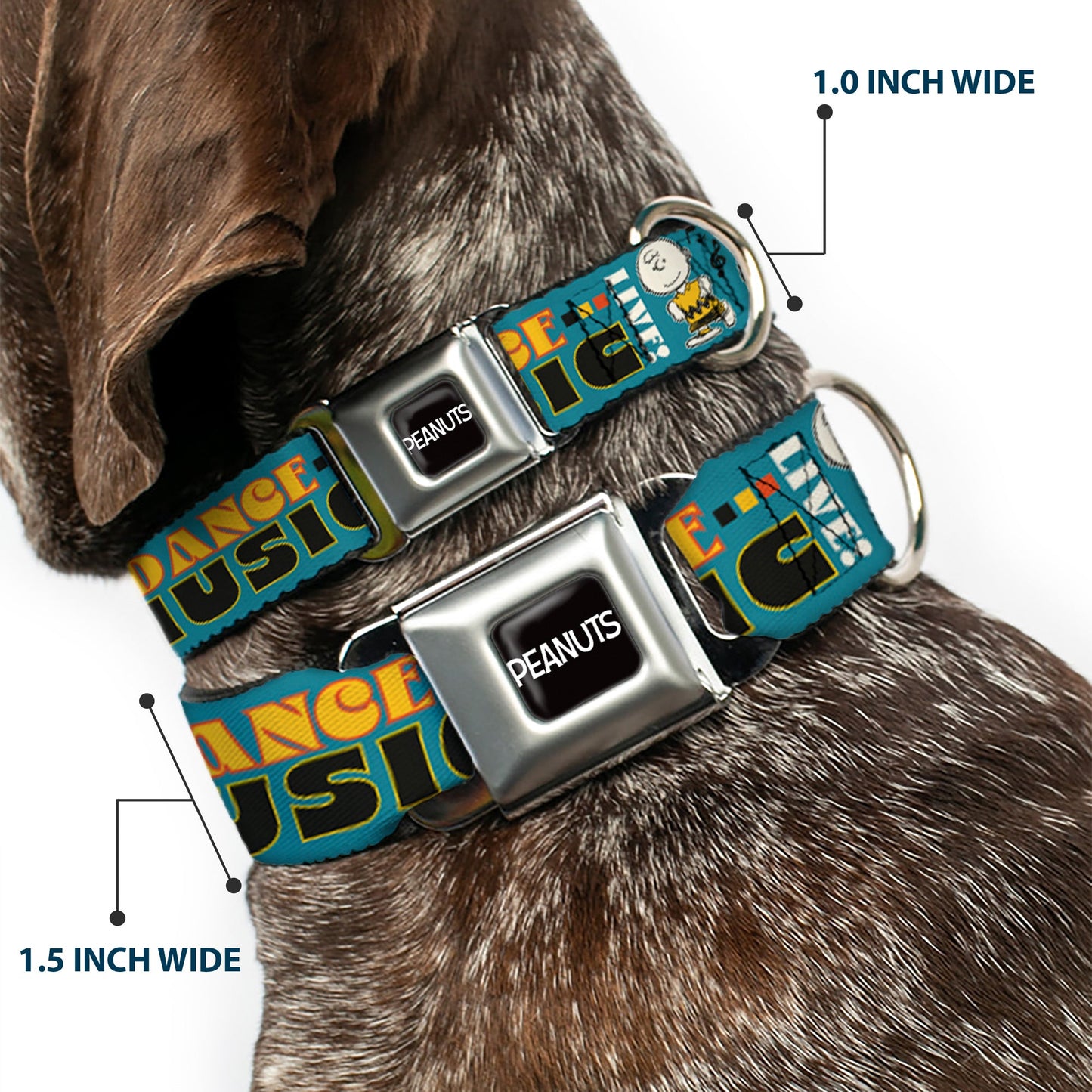 Peanuts Dog Collar with Seatbelt Buckle Design