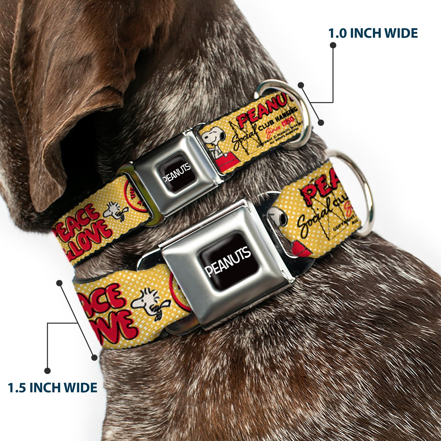 Peanuts Dog Collar: Seatbelt Buckle Style