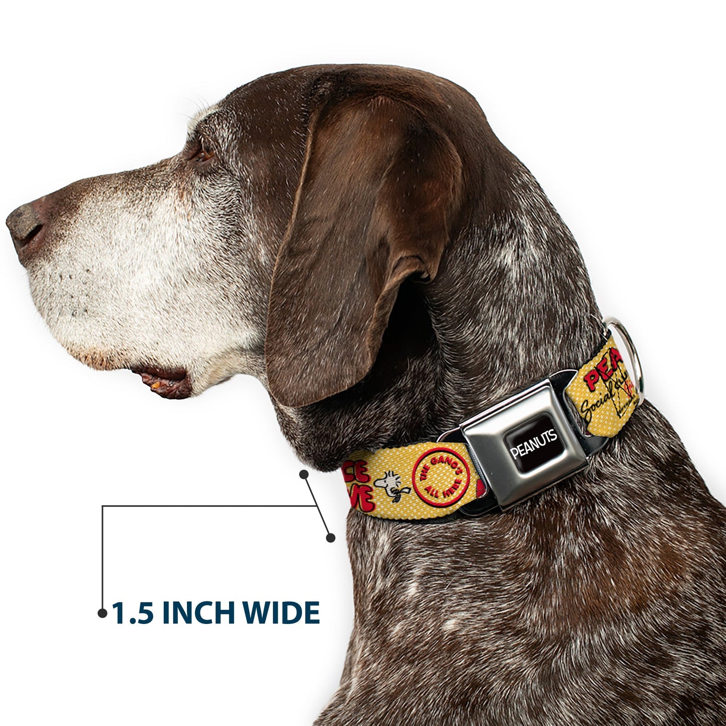 Peanuts Dog Collar: Seatbelt Buckle Style