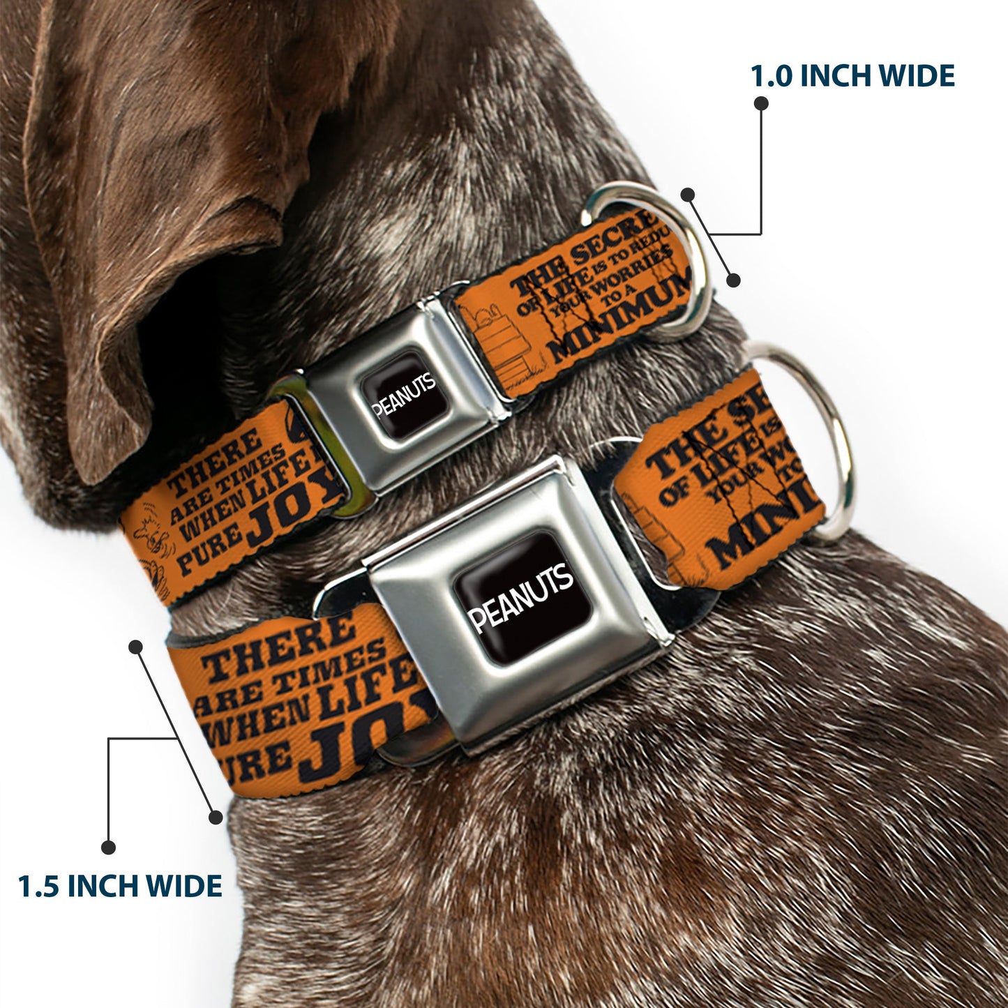 Dog Collar: Snoopy Poses & Quotes Seatbelt Buckle Collar | The Peanuts Store