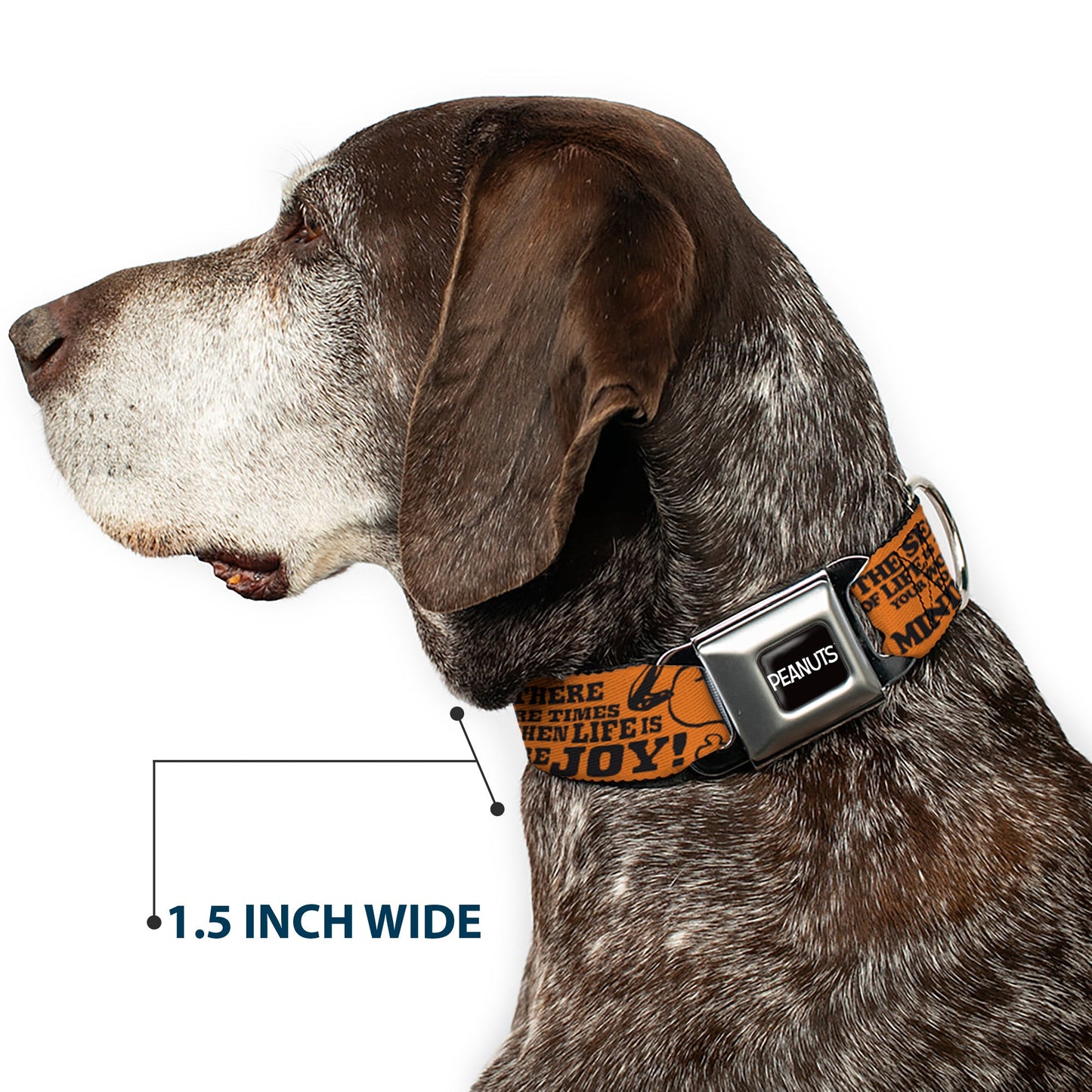 Dog Collar: Snoopy Poses & Quotes Seatbelt Buckle Collar | The Peanuts Store